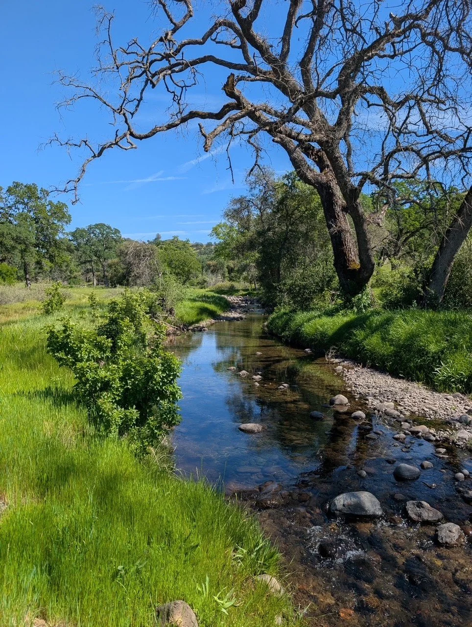 Searching for Species during NCRLT’s First Bioblitz! What an Adventure!