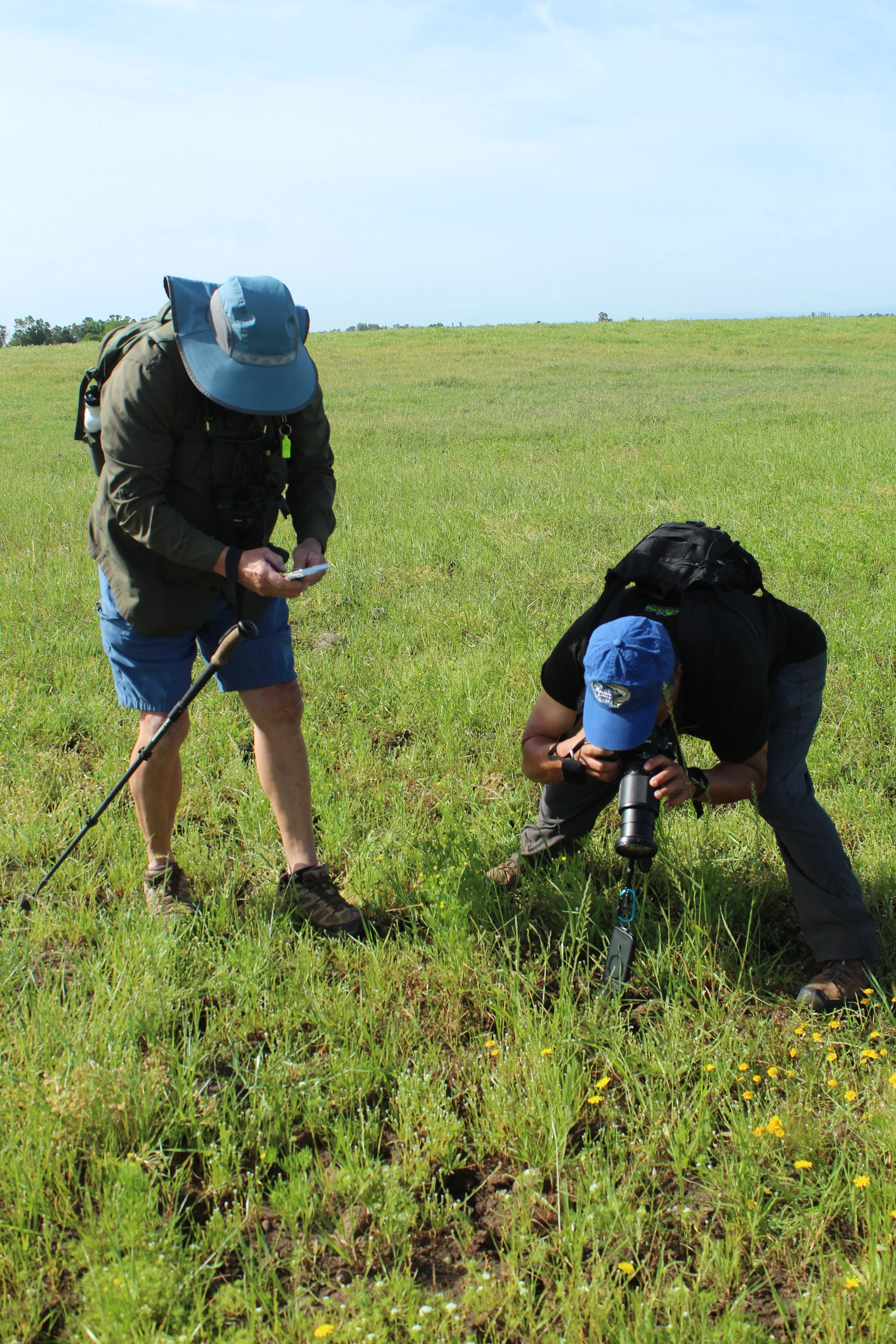 Vernal Pools at Meridian Ranch!