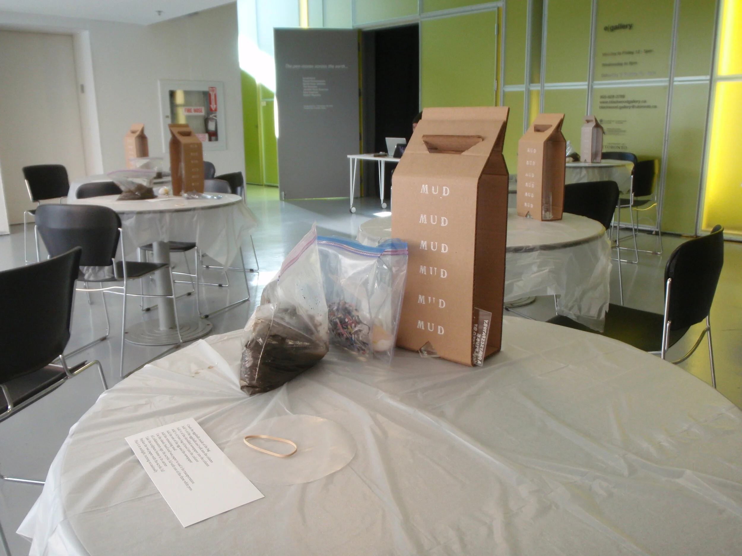 11.EcologyofMudWorkshop.JPG