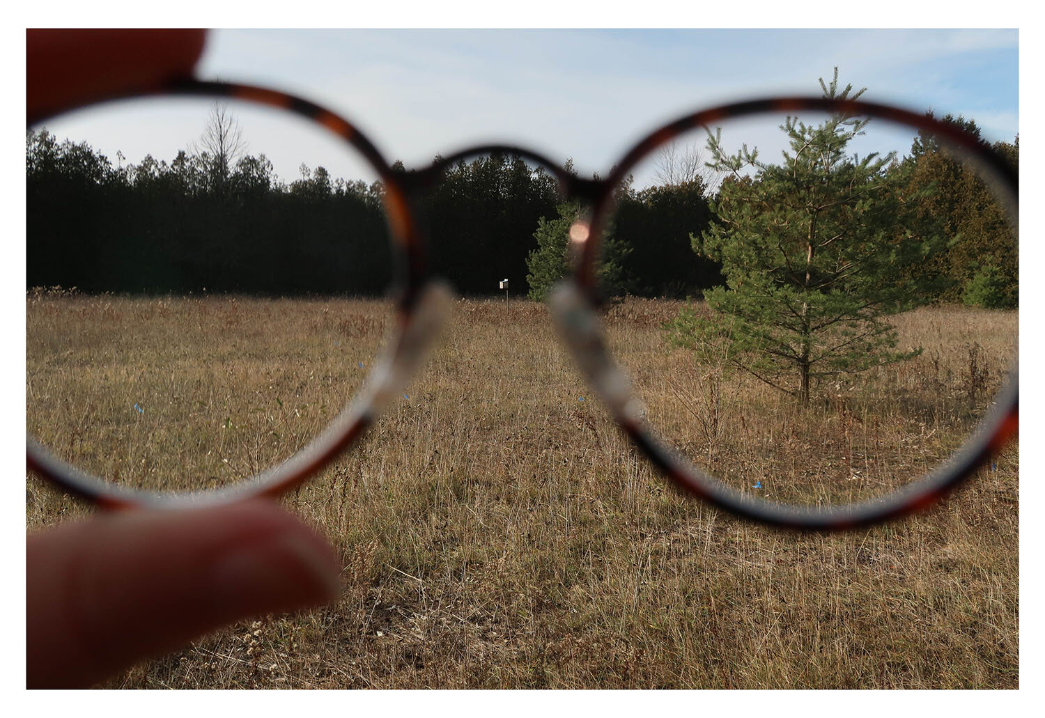 ELLE LATIMER, LENSES, PHOTOGRAPHY, 8.5” X 11”, 2020