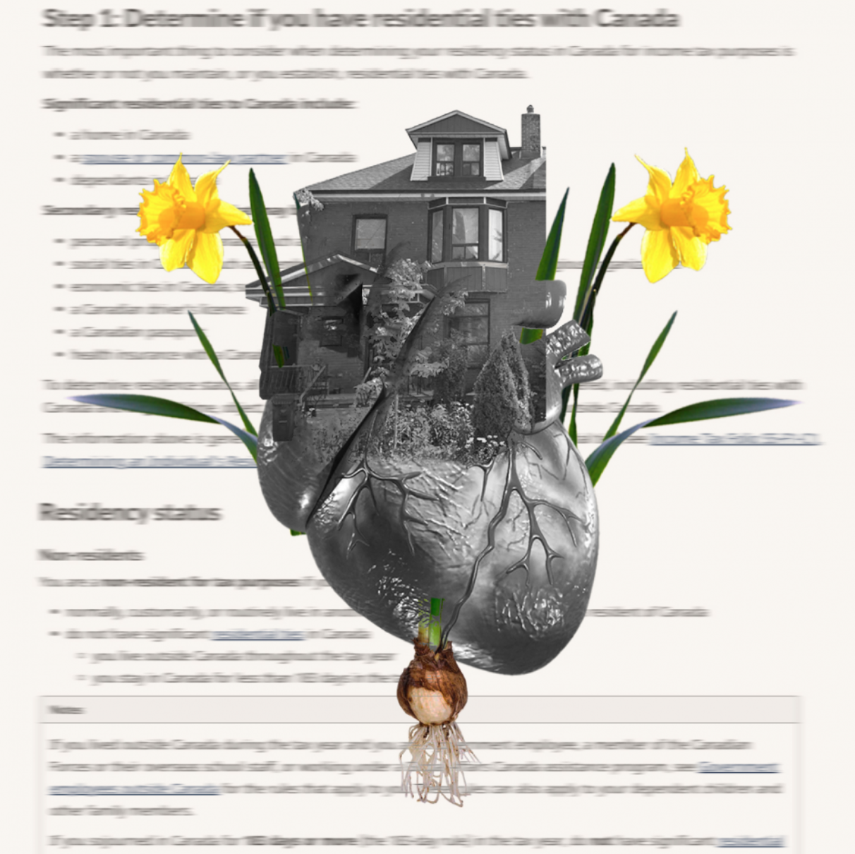 BECA BYRNES, 3RD YEAR, RESIDENTIAL TIES, PHOTO COLLAGE, 2020