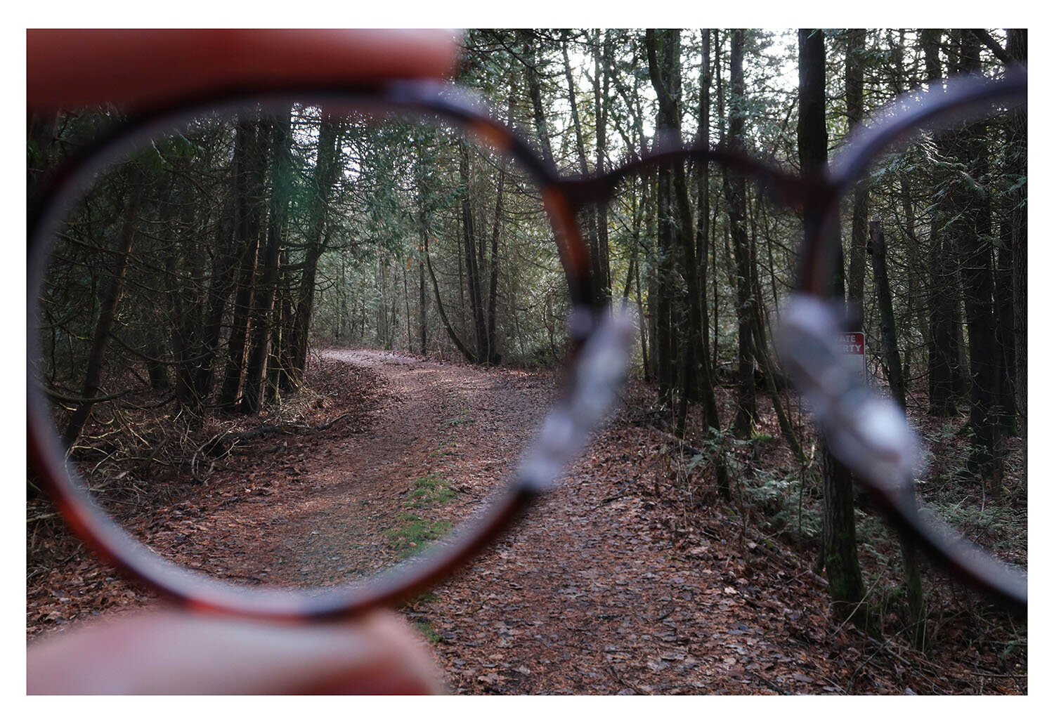 ELLE LATIMER, LENSES, PHOTOGRAPHY, 8.5” X 11”, 2020