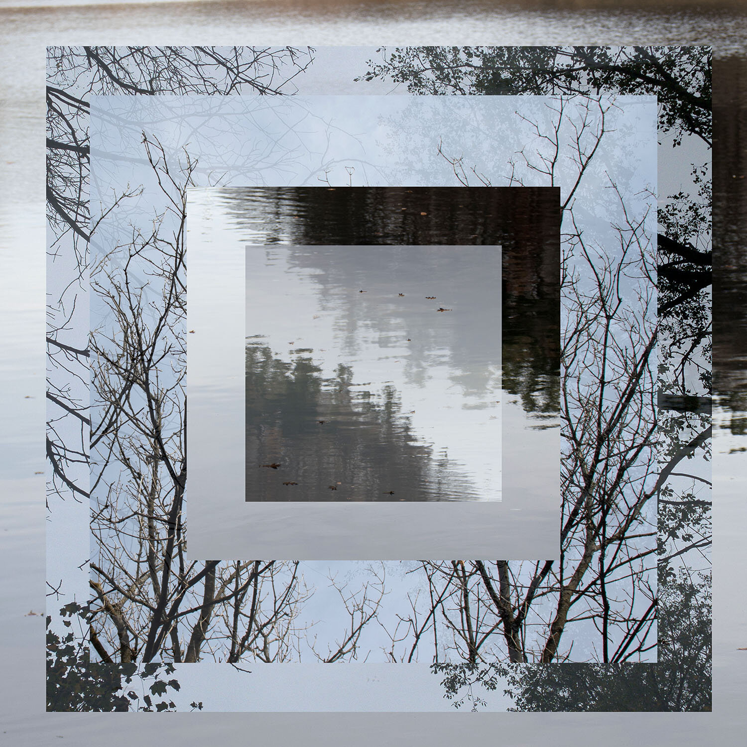 SABA SHARIFI, UNTITLED, PHOTOGRAPHY, 20” X 20”, 2020