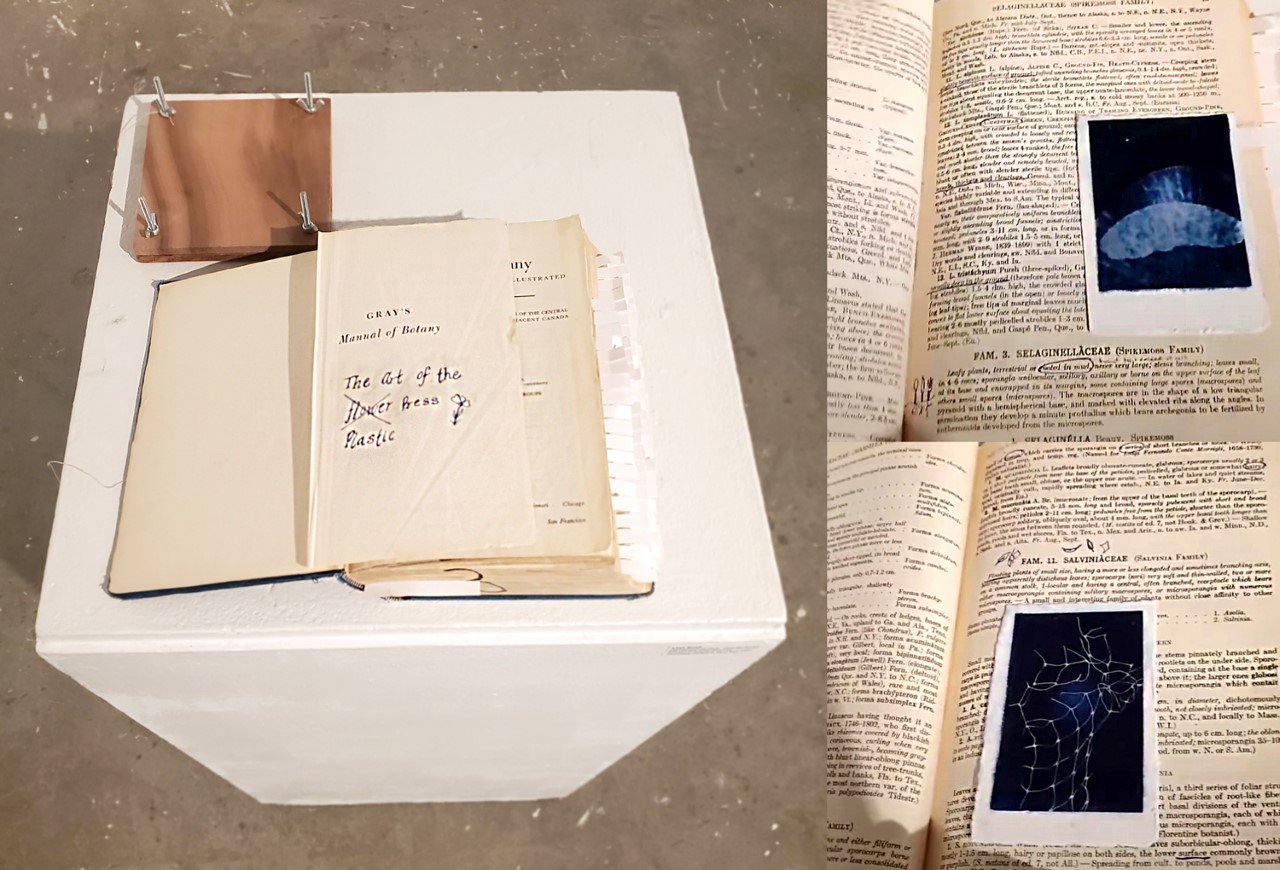 LEAH SMALL, 4, PLUCKED FROM THE EARTH-FROM THE GARDEN, CYANOTYPE BOOKWORK, 9.25"x11.75"x3", 2022. A cyanotype series of plastics pressed inside a botany book. A wooden flower press is also a part of the installation.
