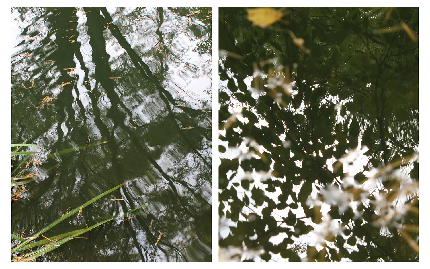 MAH RUKH HUSNAIN, 4TH YEAR,NATURE RHYTHMS, PHOTOGRAPH, 48” X 72”, 2020