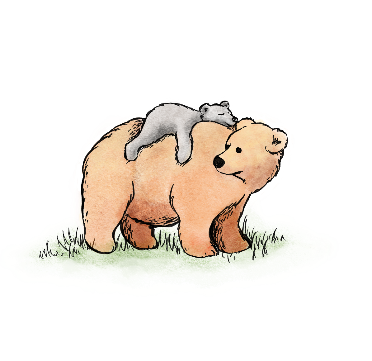 Children's Book Illustrations