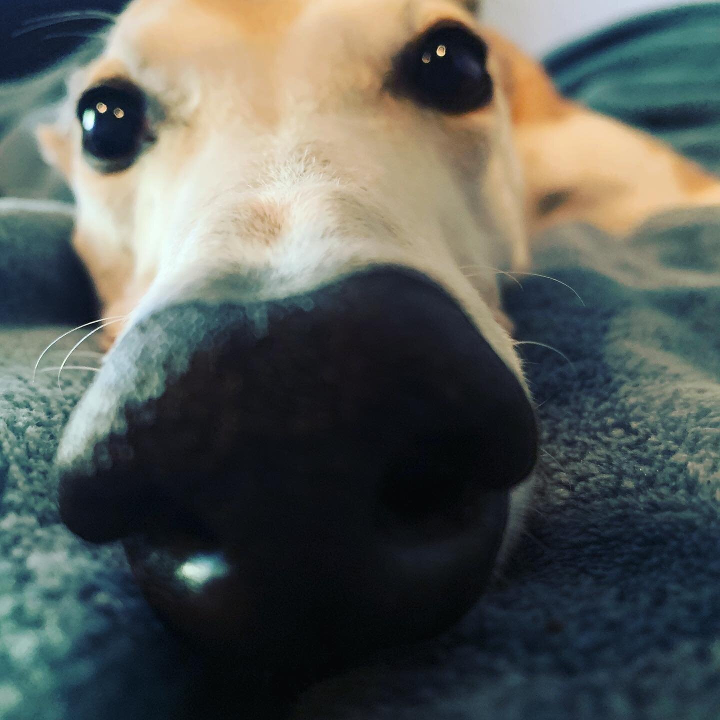Olive&rsquo;s curiosity