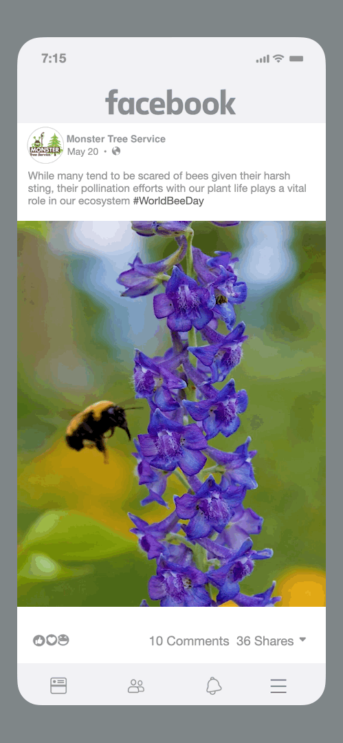 MTS_World Bee Day_smaller-10.gif