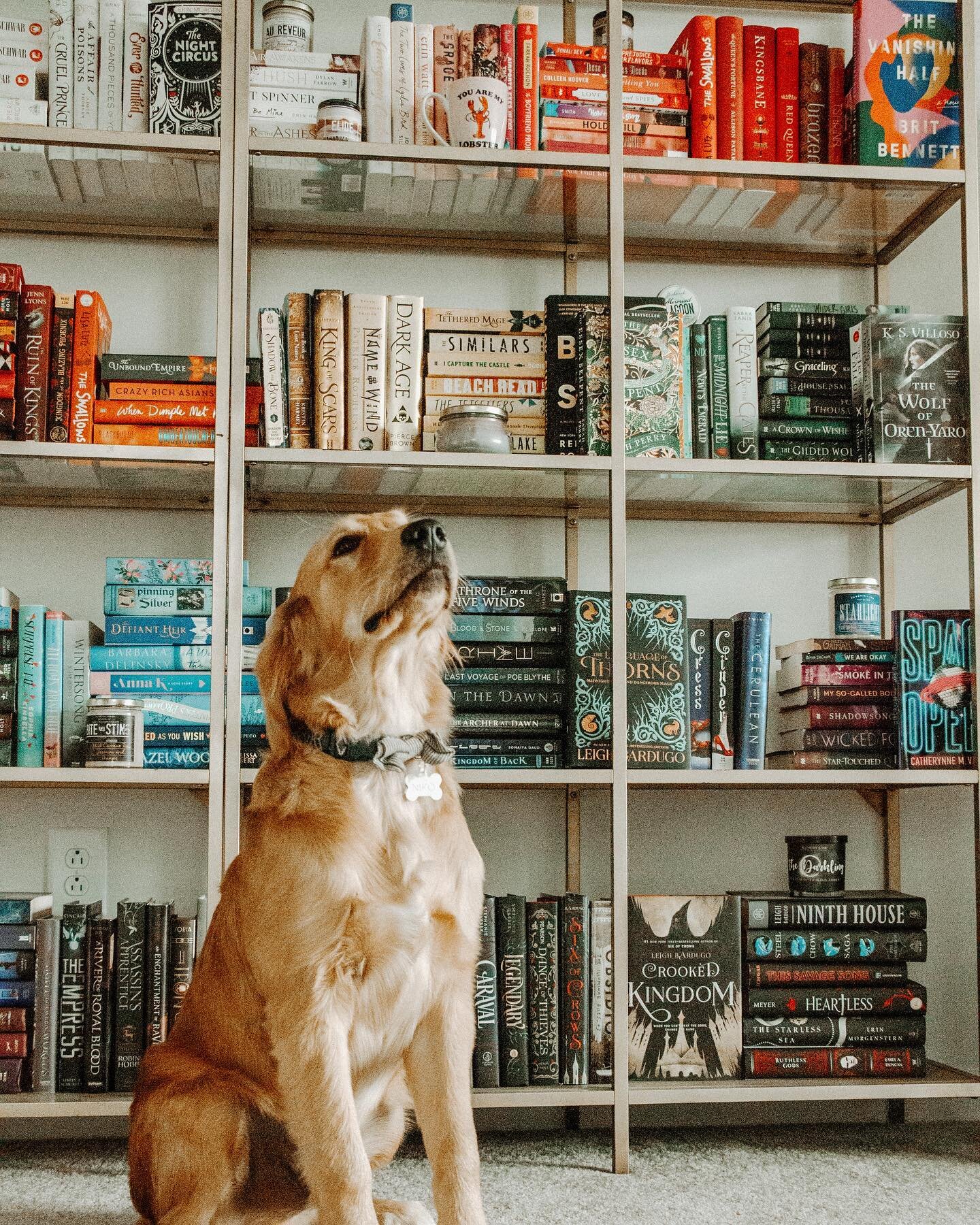 We made it to Friday!

Tell me: How many books do you read at once? Has that changed over the years? Do you read in multiple formats at one time?

I usually have an audiobook and an ebook going at any given time, and the ebooks are usually manuscript