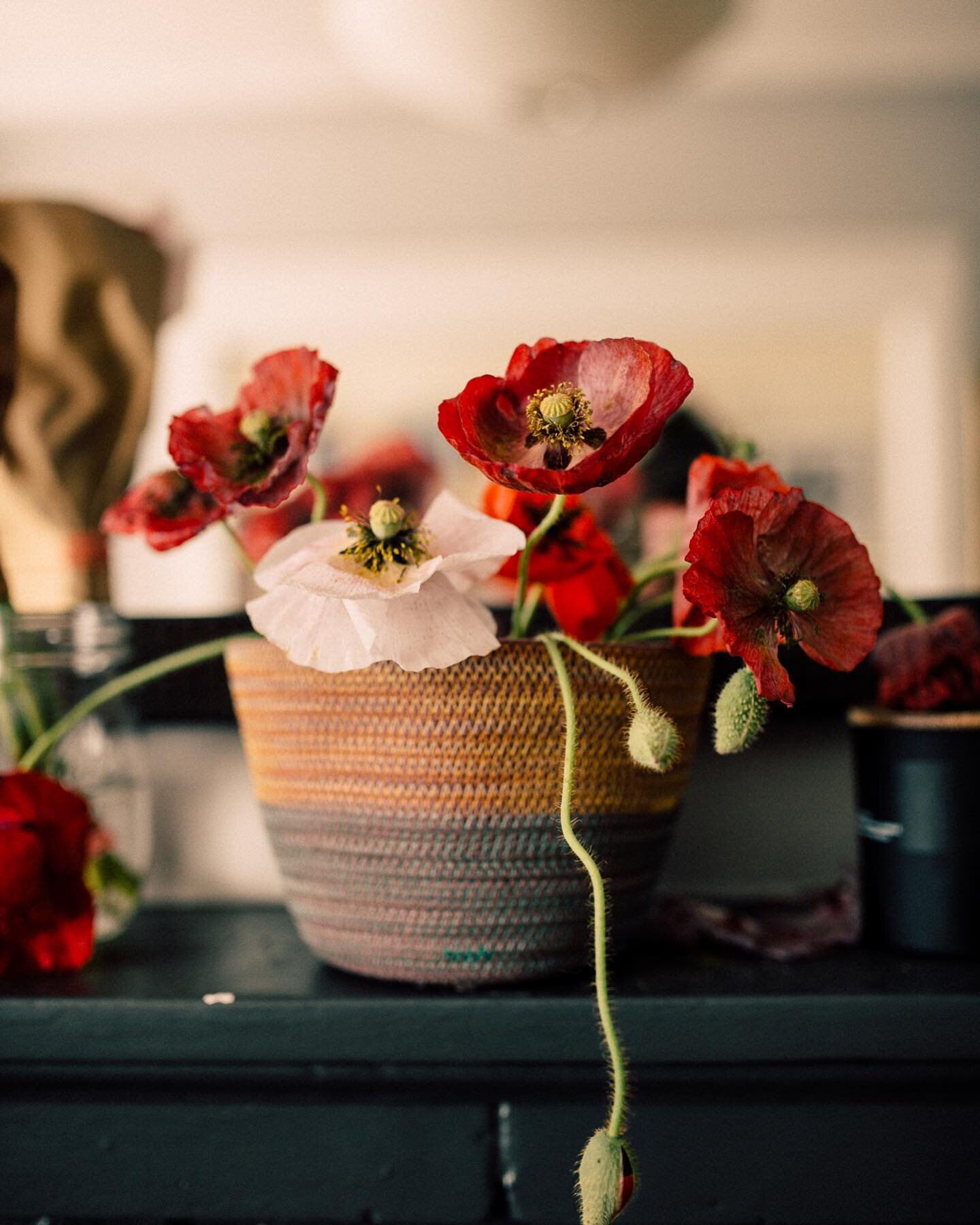 Flowers are my love language.