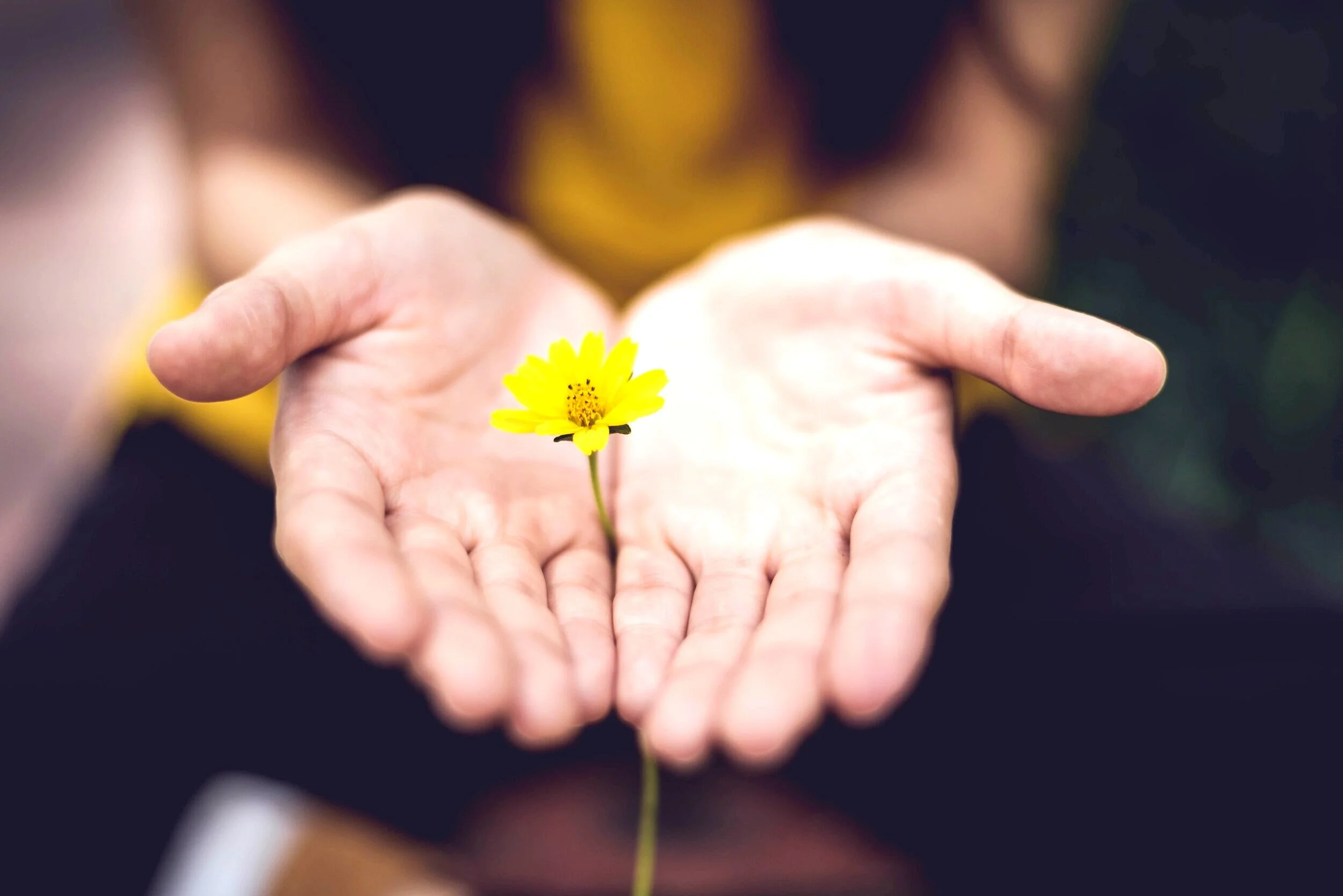 Learning How to Forgive