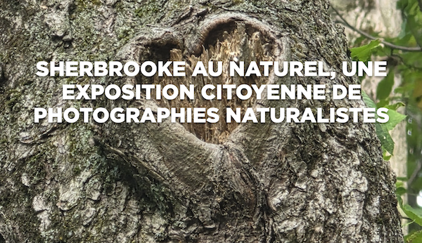 Deux photos de Denis Boisvert au Musée Nature et Sciences de Sherbrooke