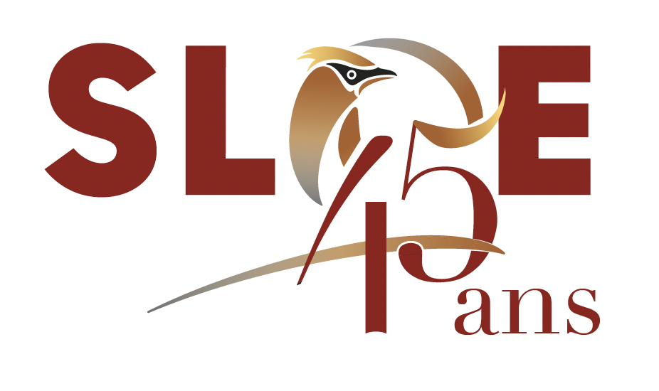 Atelier sur le classement des photos