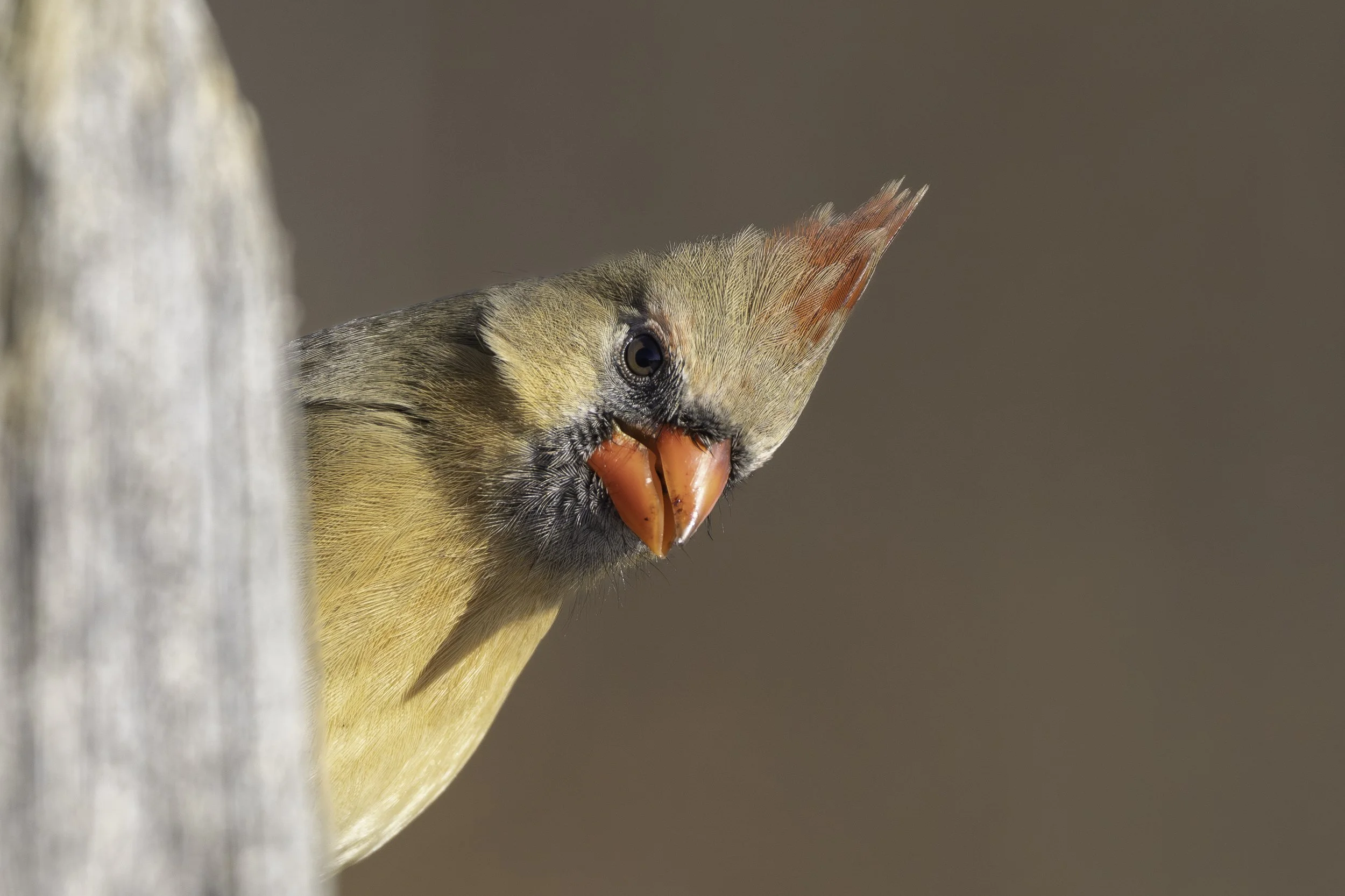 Sortie du Président