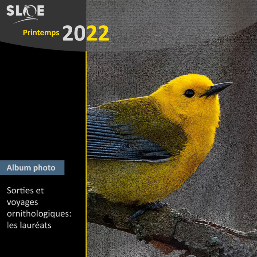 Album photo printemps 2022
