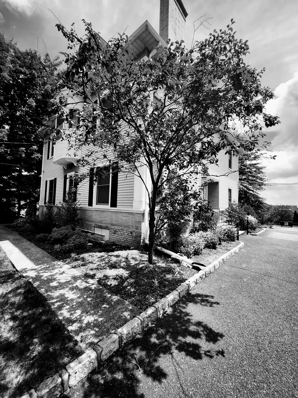 Creative+ : Unleashing Professional Creativity