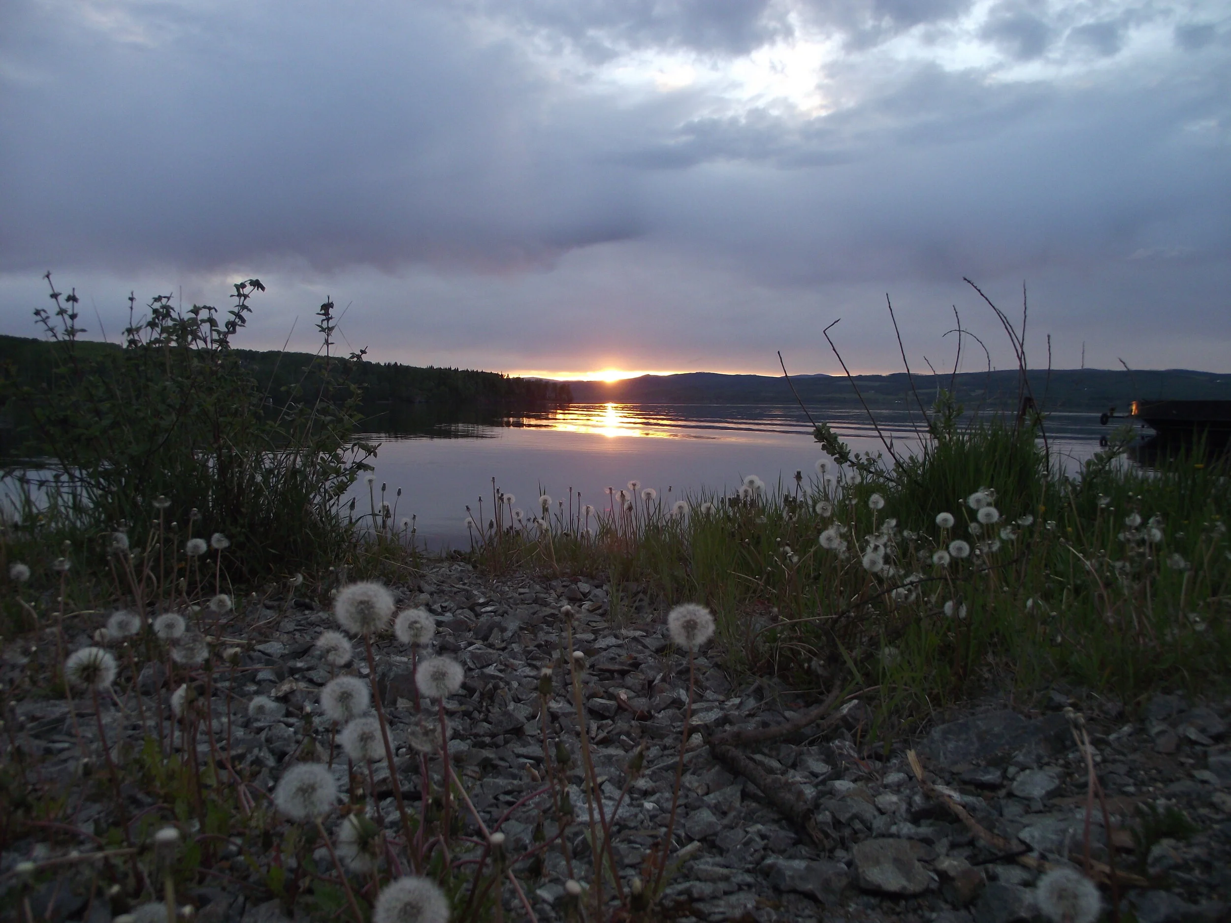 DSCF9206.JPG