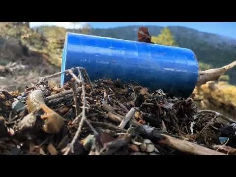 Slugs Home