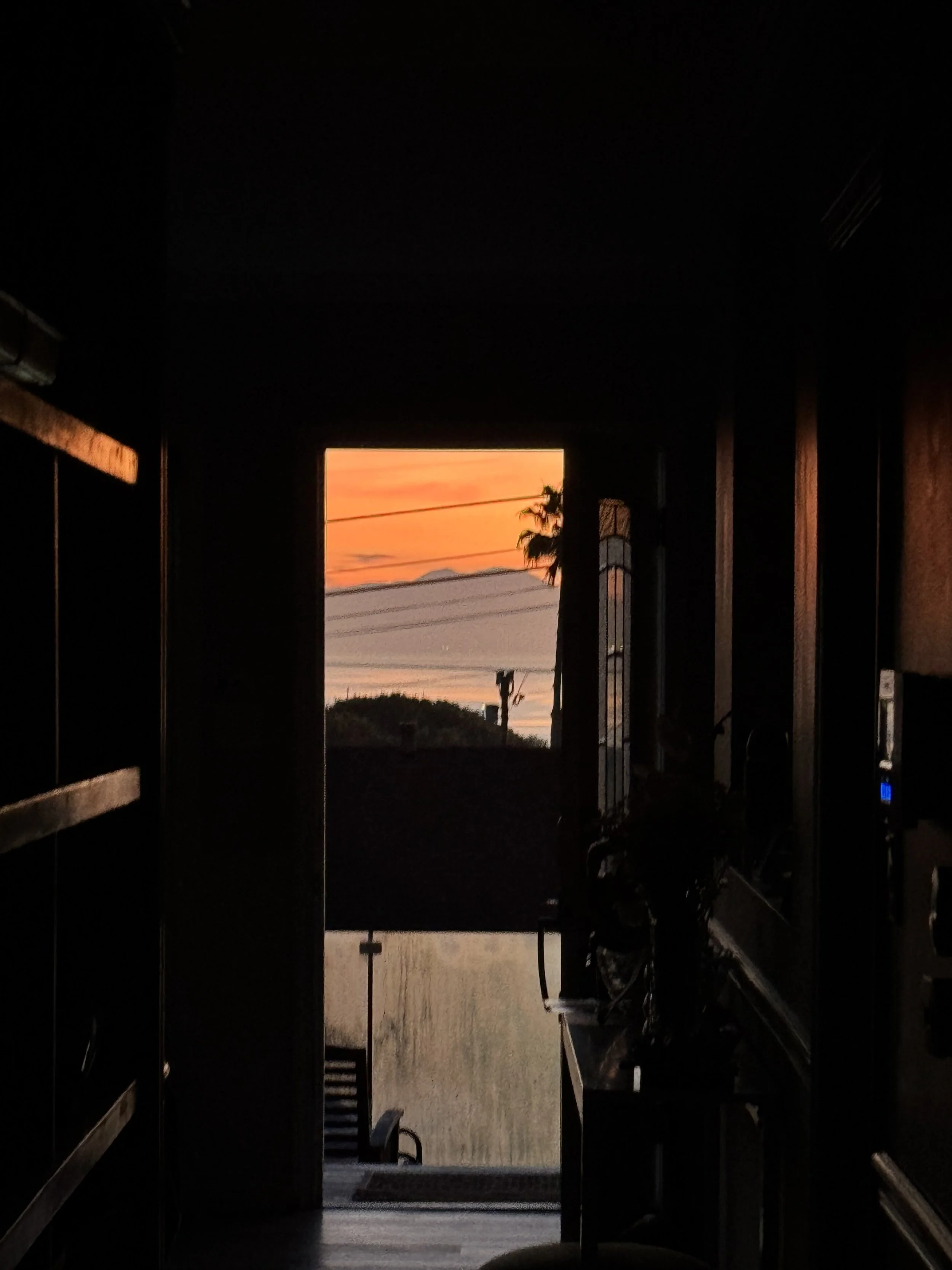 Weddingbro Continues In Government 