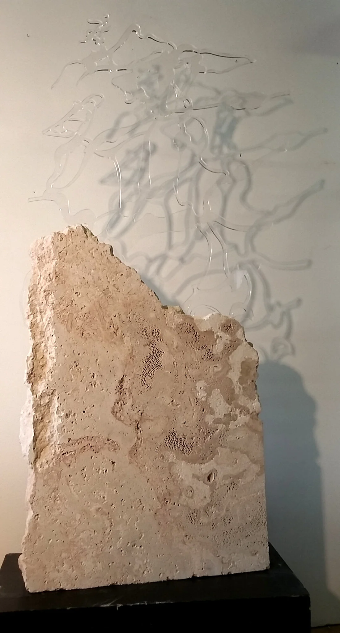 12TH2016Tidal Skeleton.jpg