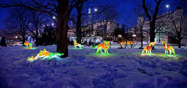 2. Tonya Hart INFRA.jpg