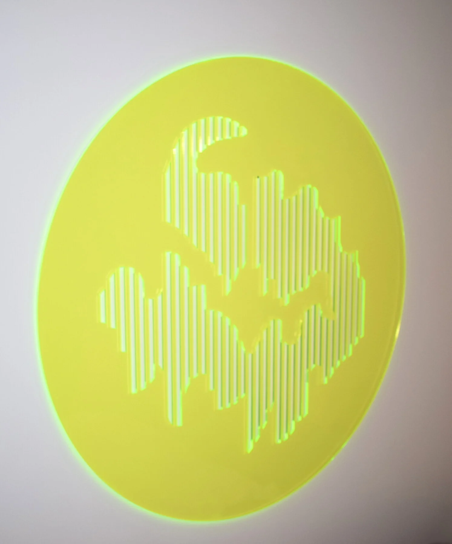 4_Tonya Hart_Aurora Gobo.JPG