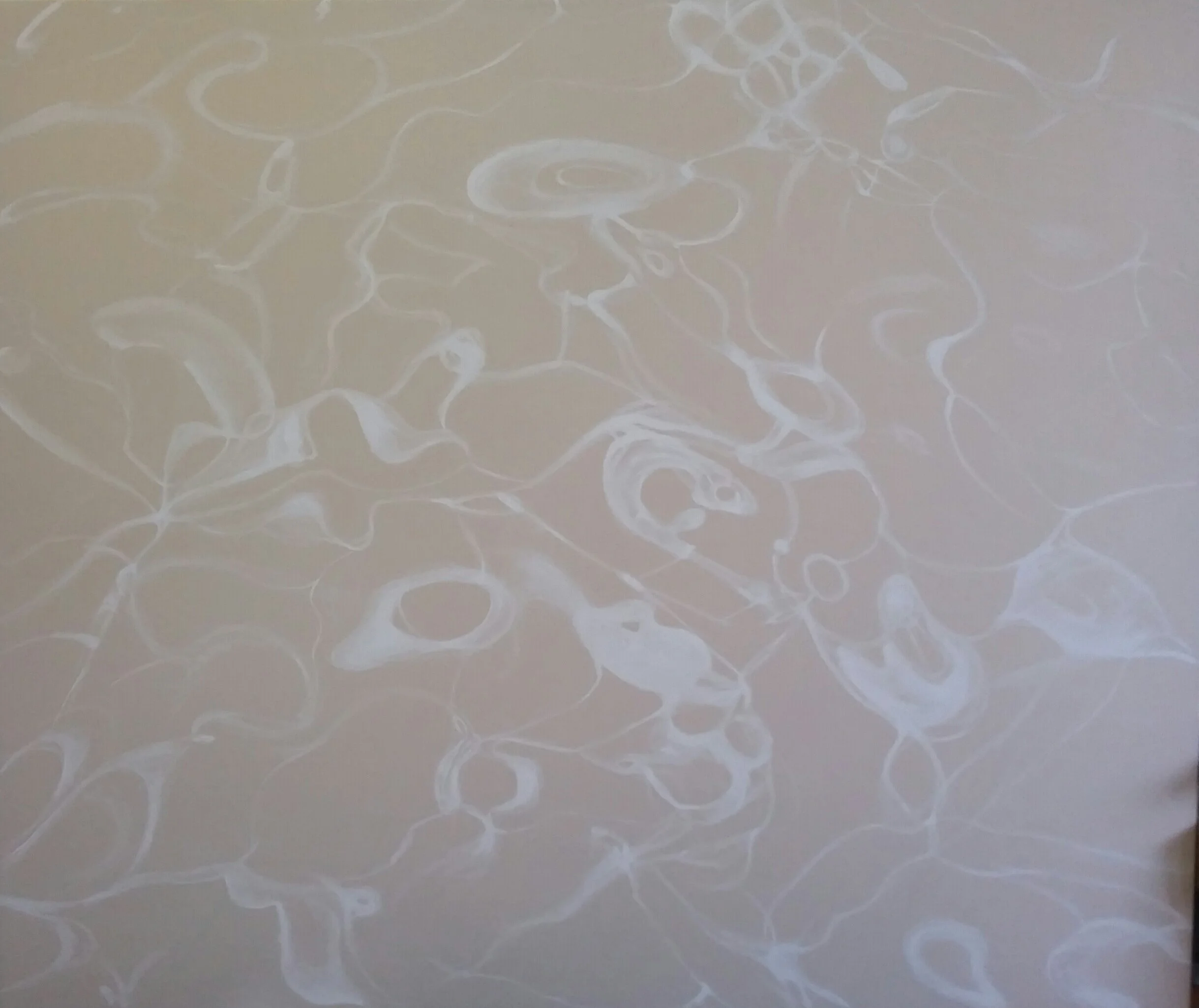 20170710_154313-1 (1).jpg