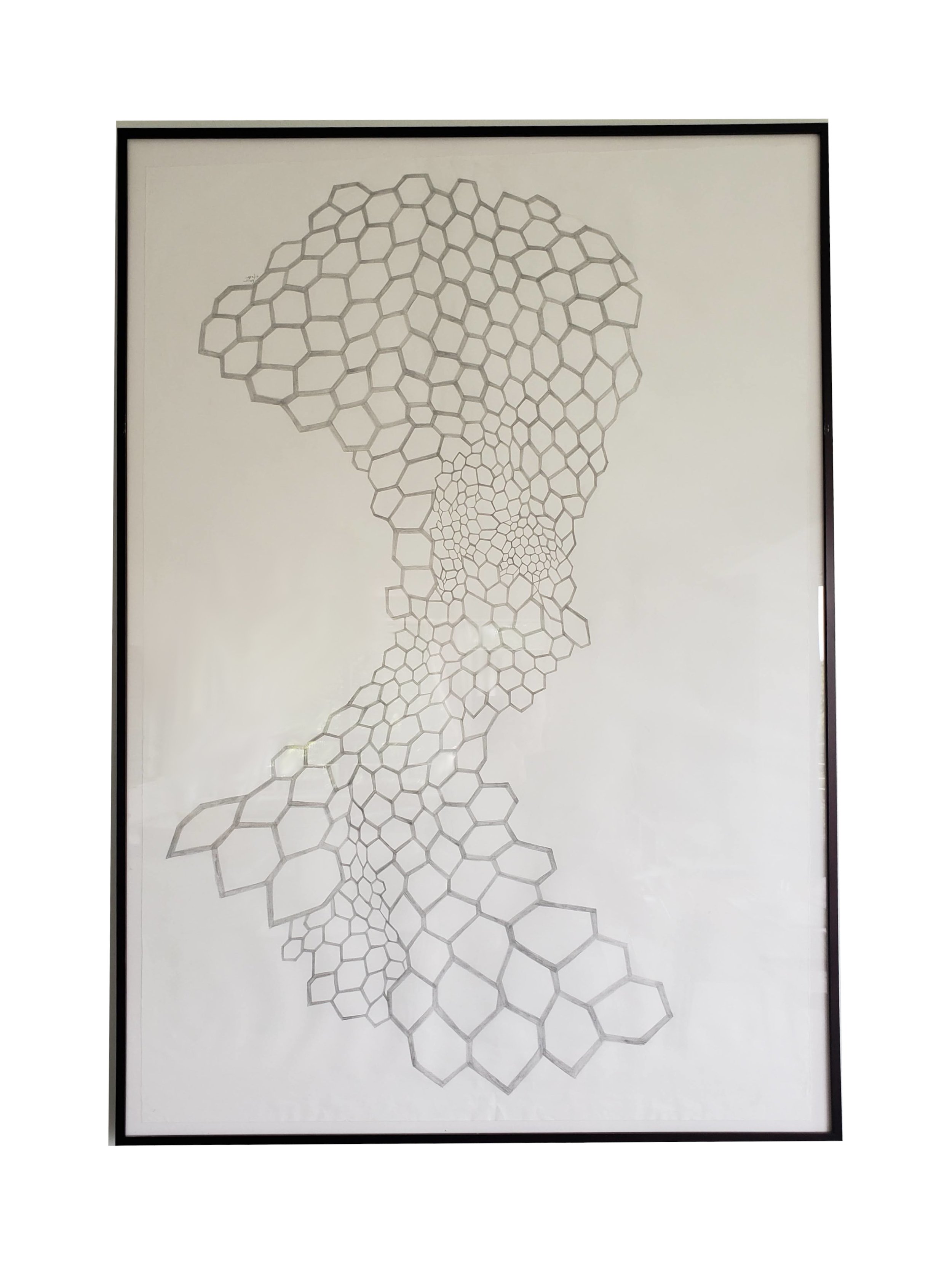 Hive Mapping drawing II.jpg