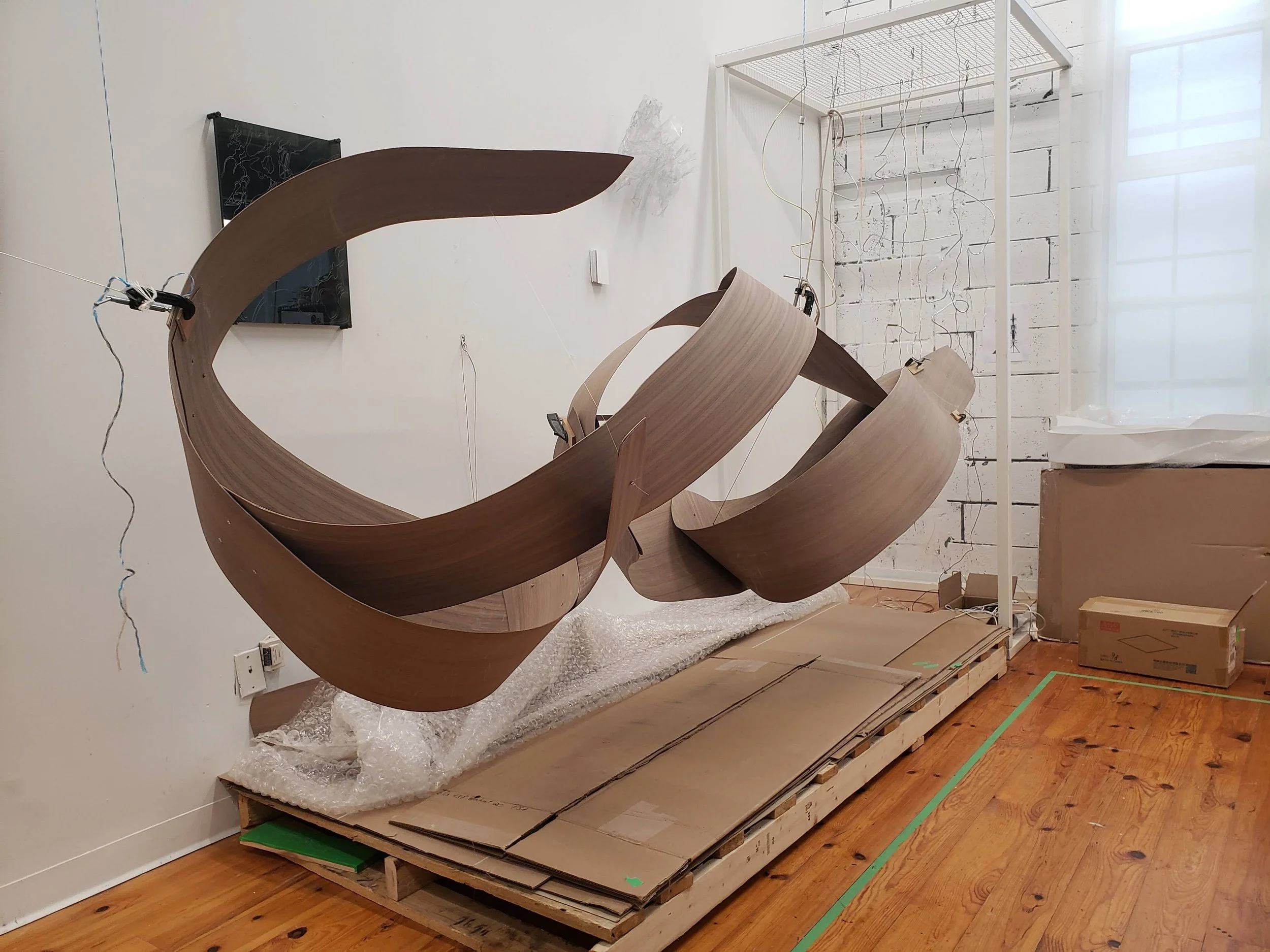 THart_Light Whorl WIP3.jpg