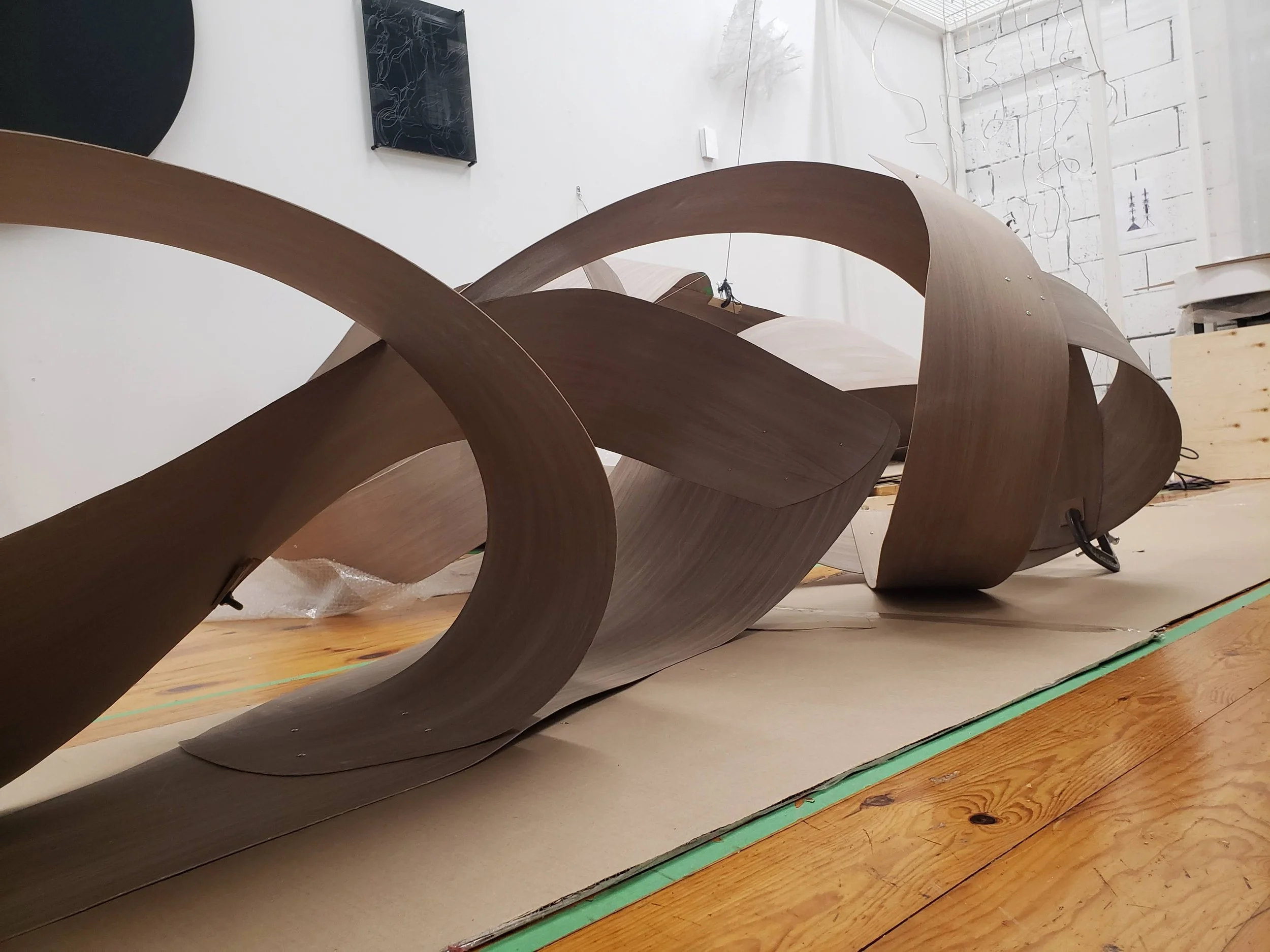 THart_Light Whorl WIP4.jpg