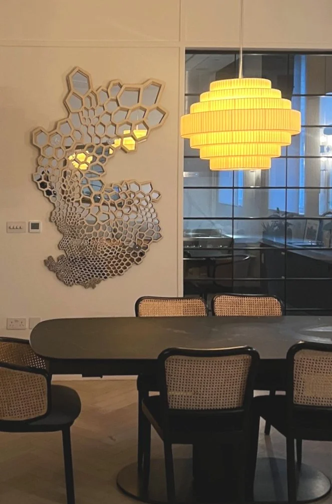 Hive Mapping detail Mirror back.jpg