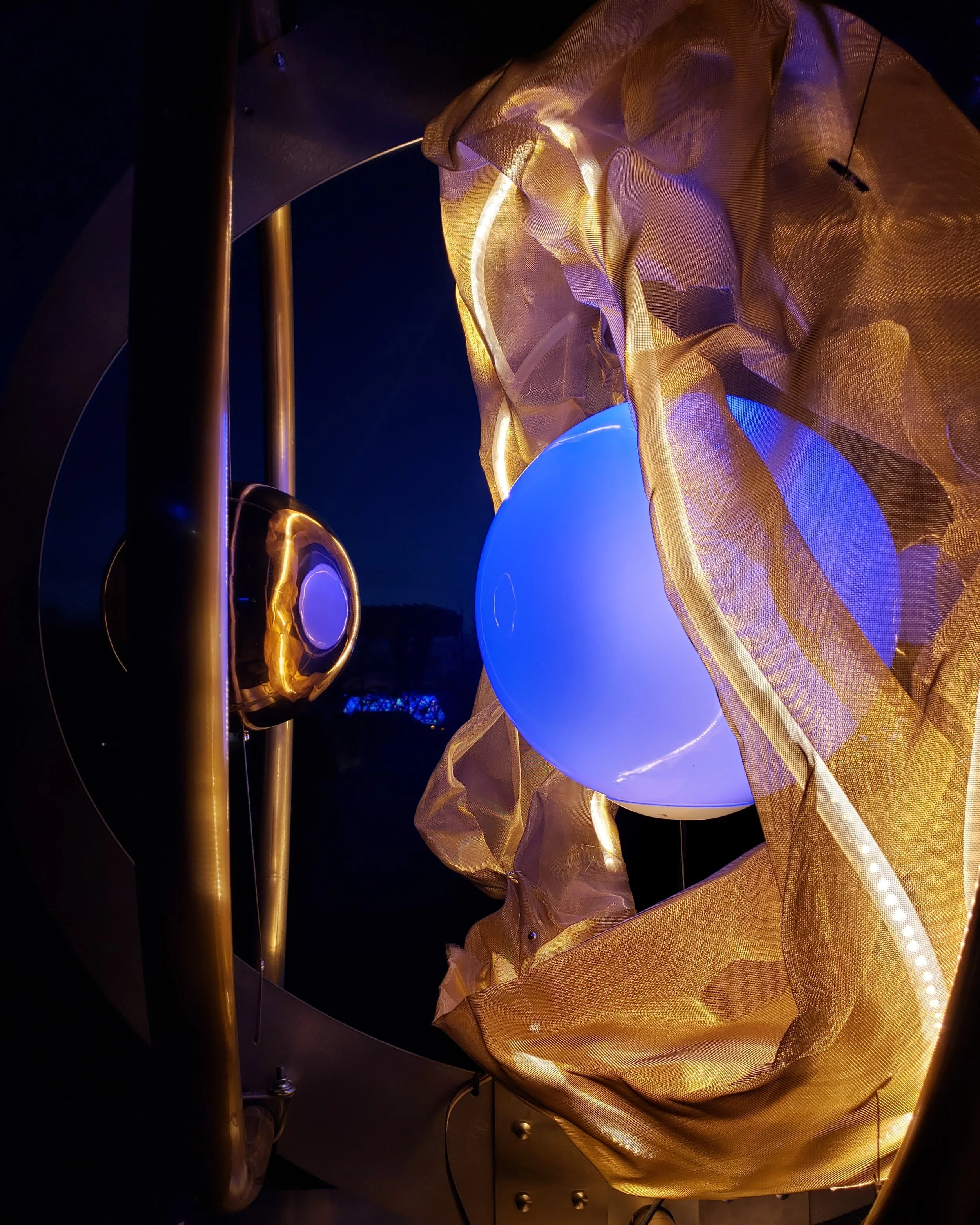 Golden Eye_detail.jpg