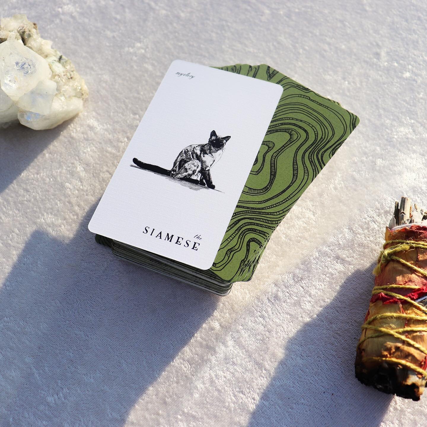Have you been rearranging puzzle pieces, trying to crack the code on something? What Mystery in your life is puzzling you? The Siamese can hint at the unconscious or mysterious and hidden information that lingers past your line of sight. 
.
.
#oracle
