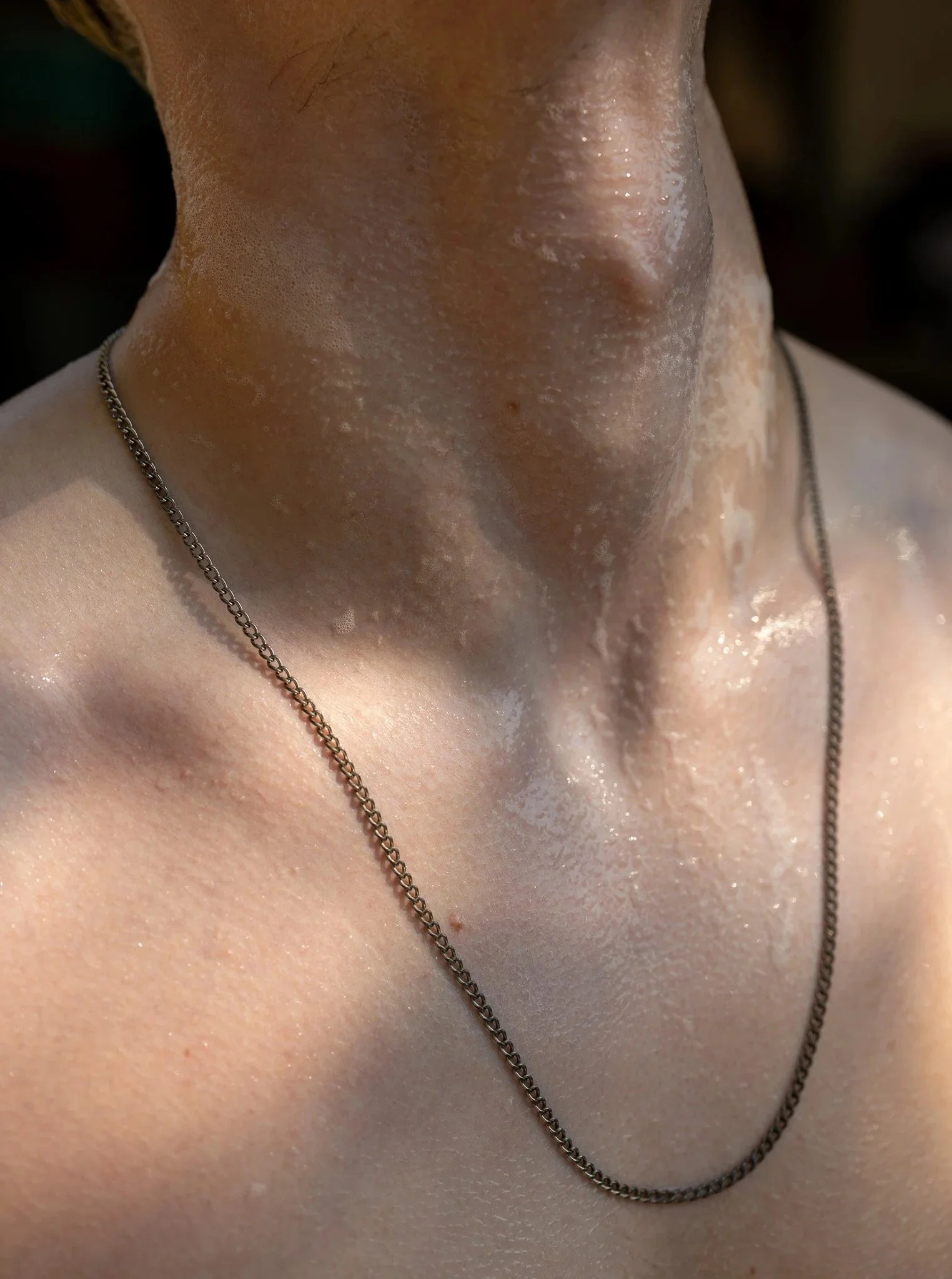 The Persistence Of Stillness