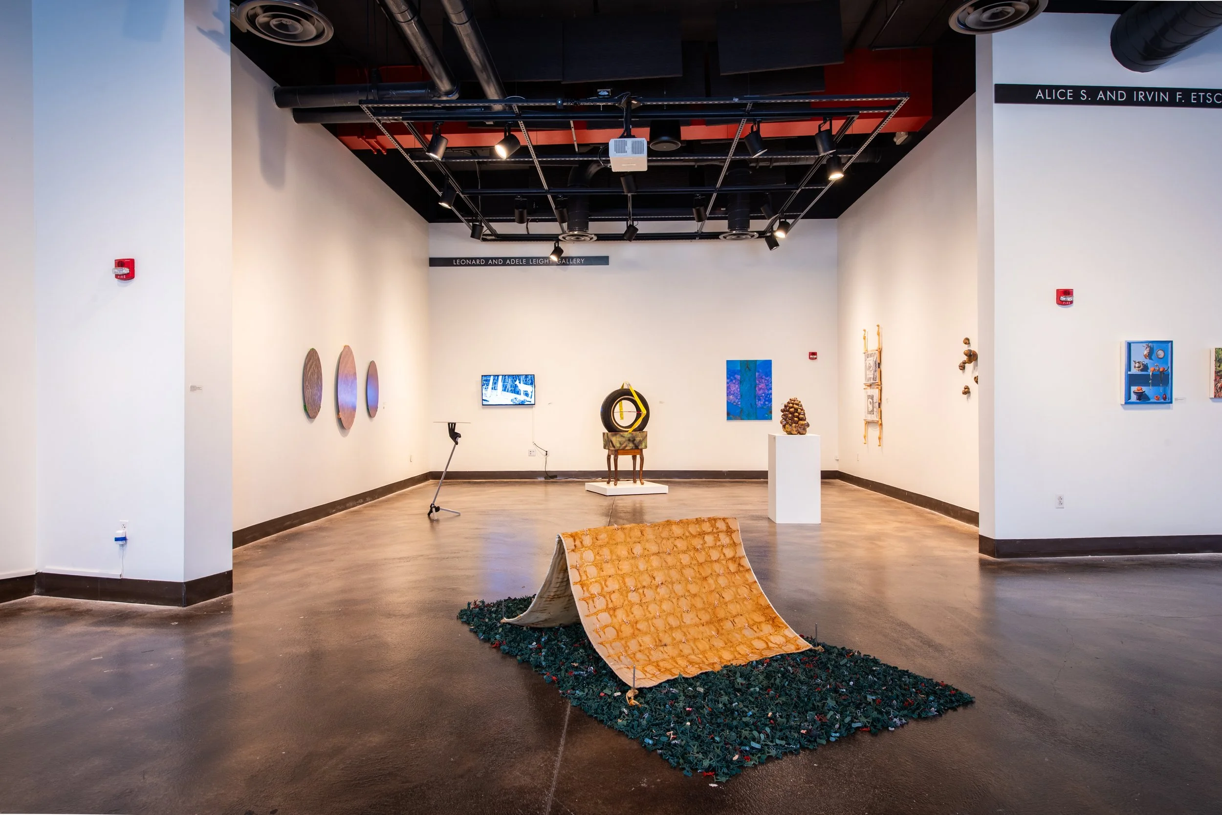 Maybe Kudzu Covering My Body: Camouflage in the South