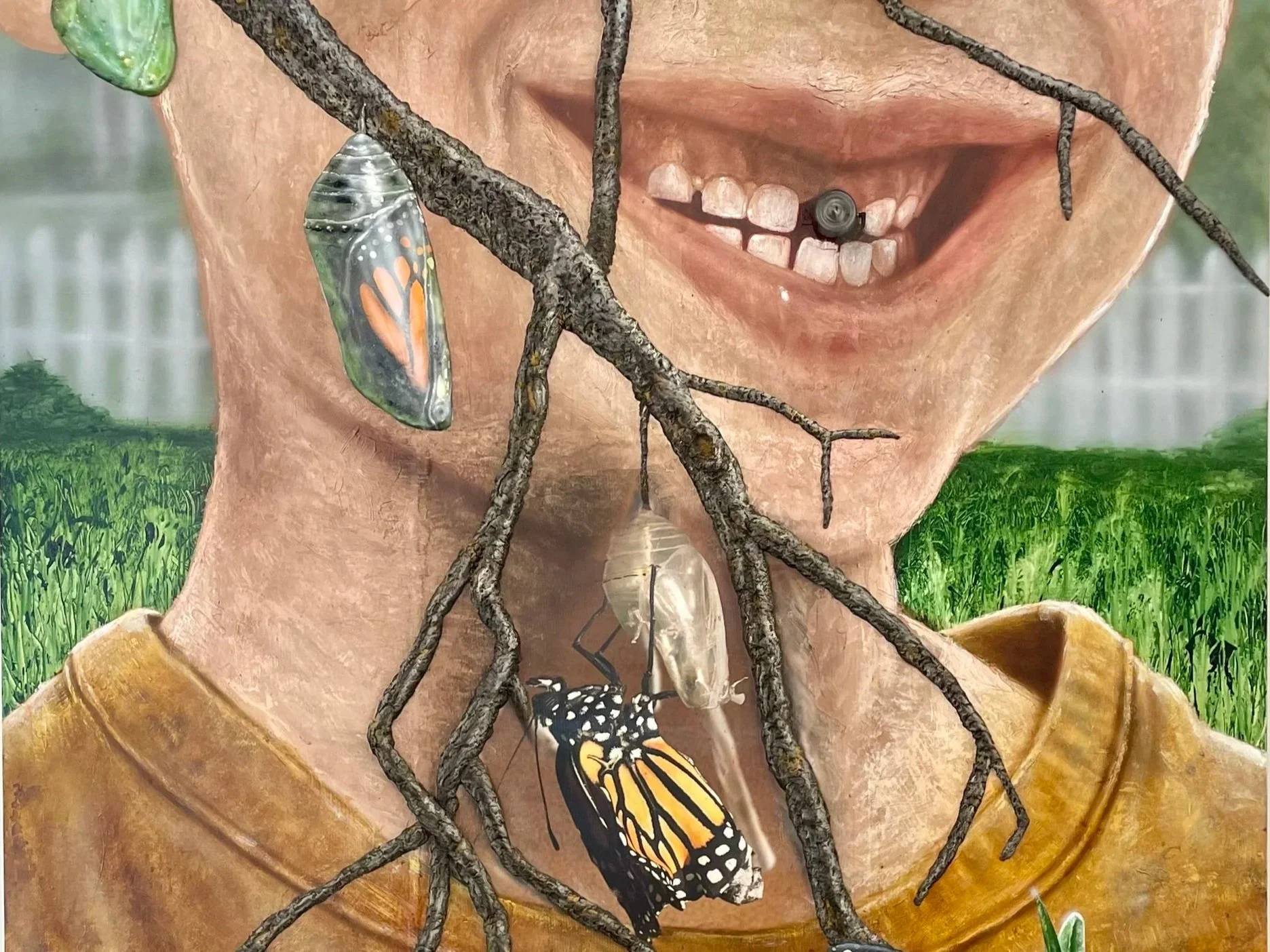 Mirage and Consequence within the Suburban Microcosm