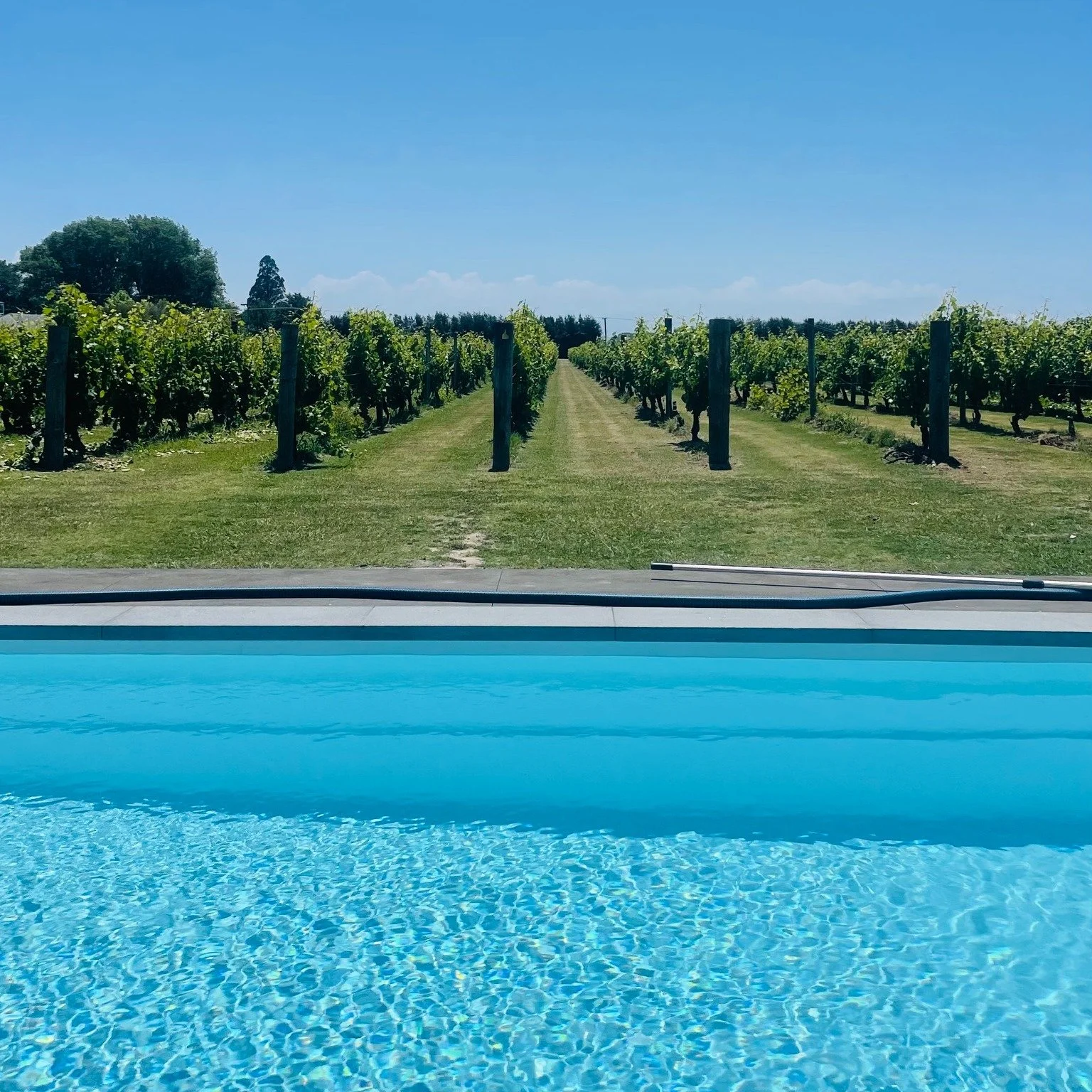 Meri Kirihimete &amp; Merry Christmas from us at Maxim Wines 🎄✨ 

As the year wraps up, I just want to say a massive thank you to everyone who&rsquo;s backed Maxim Wines in 2025 &mdash; customers, stockists, friends, family, neighbours, and the lege