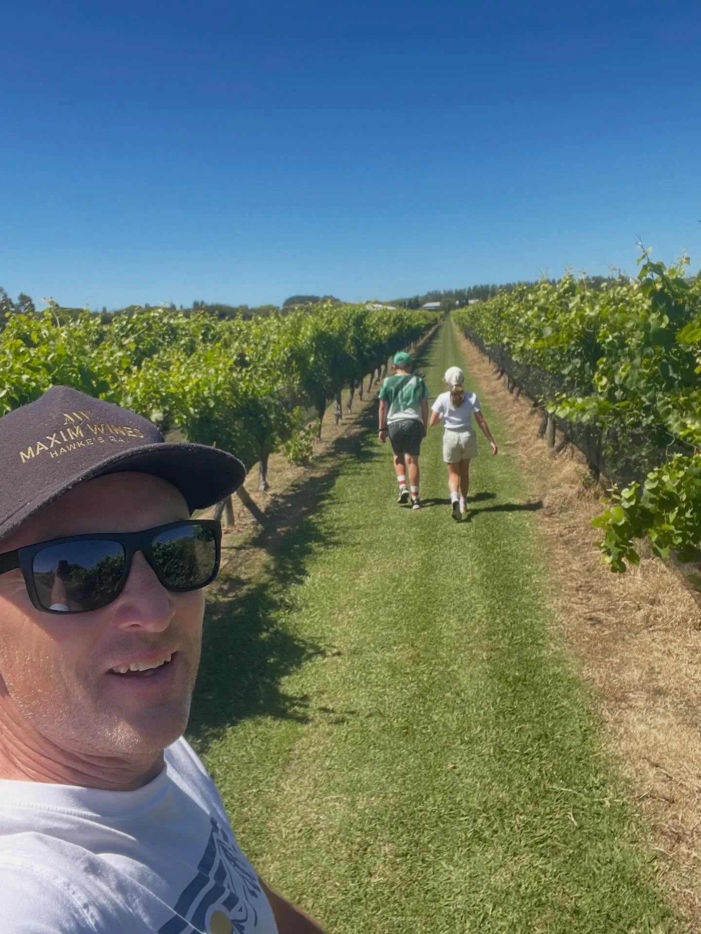 Chardonnay harvest day!!

Super exciting to pick our Chardonnay yesterday. The fruit looked amazing and tasted so good &mdash; fresh, vibrant, and full of promise.

Already can&rsquo;t wait to see where this vintage goes. Watch this space ✨

#MaximWi