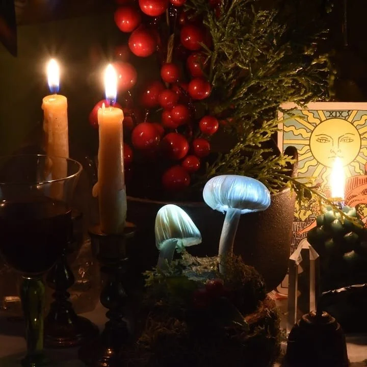 Waking up to remnants of last night's beautiful zoom Yule ceremony with the exquisite ladies of the Circle.