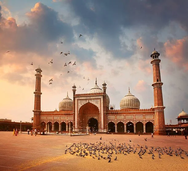 BEAUTY OF OLD DELHI.jpg