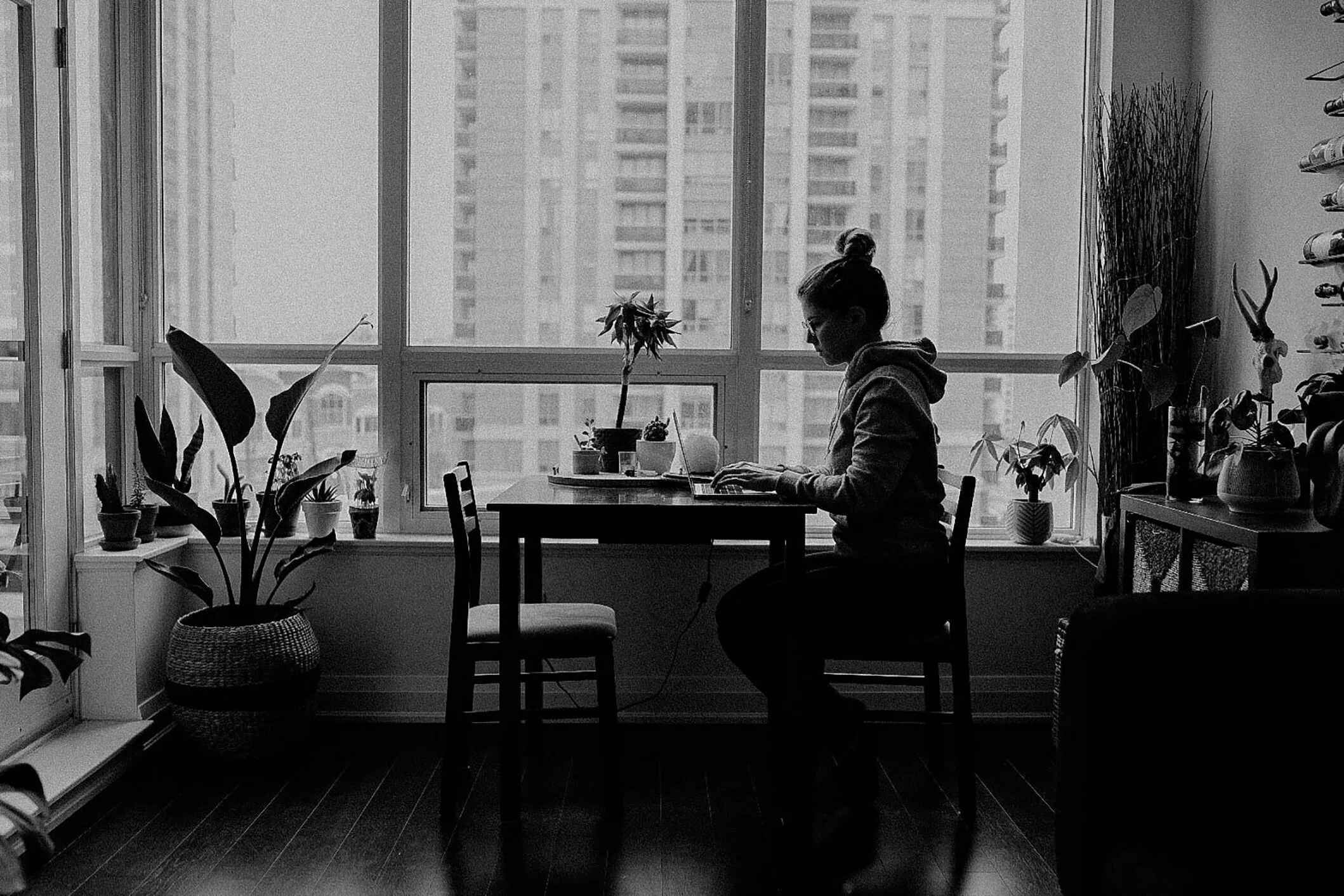 The Quarantine Diaries — Aleksandra Radic Photography