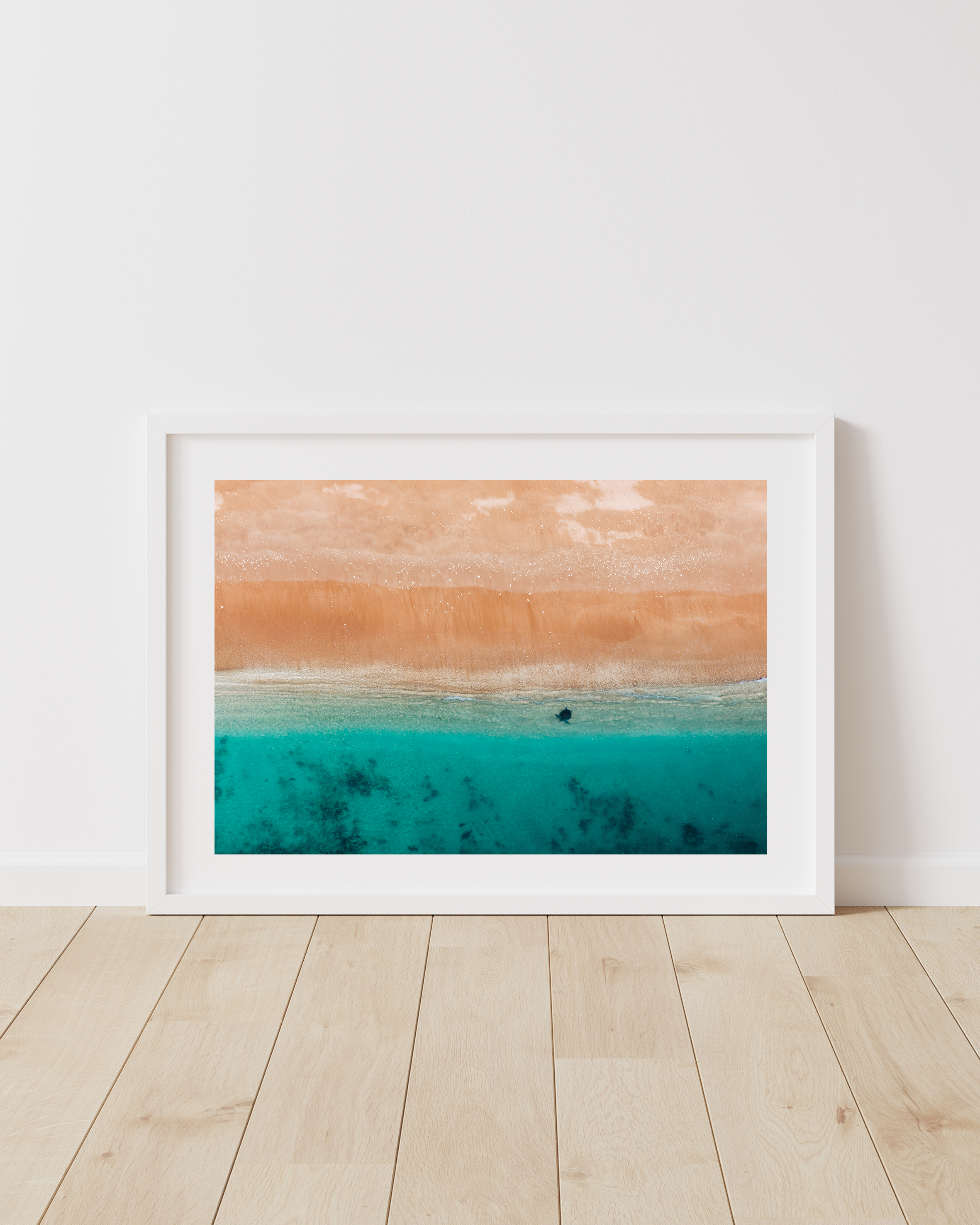 White Framed Muiron Island Turtle Blue Media Exmouth Ningaloo.png