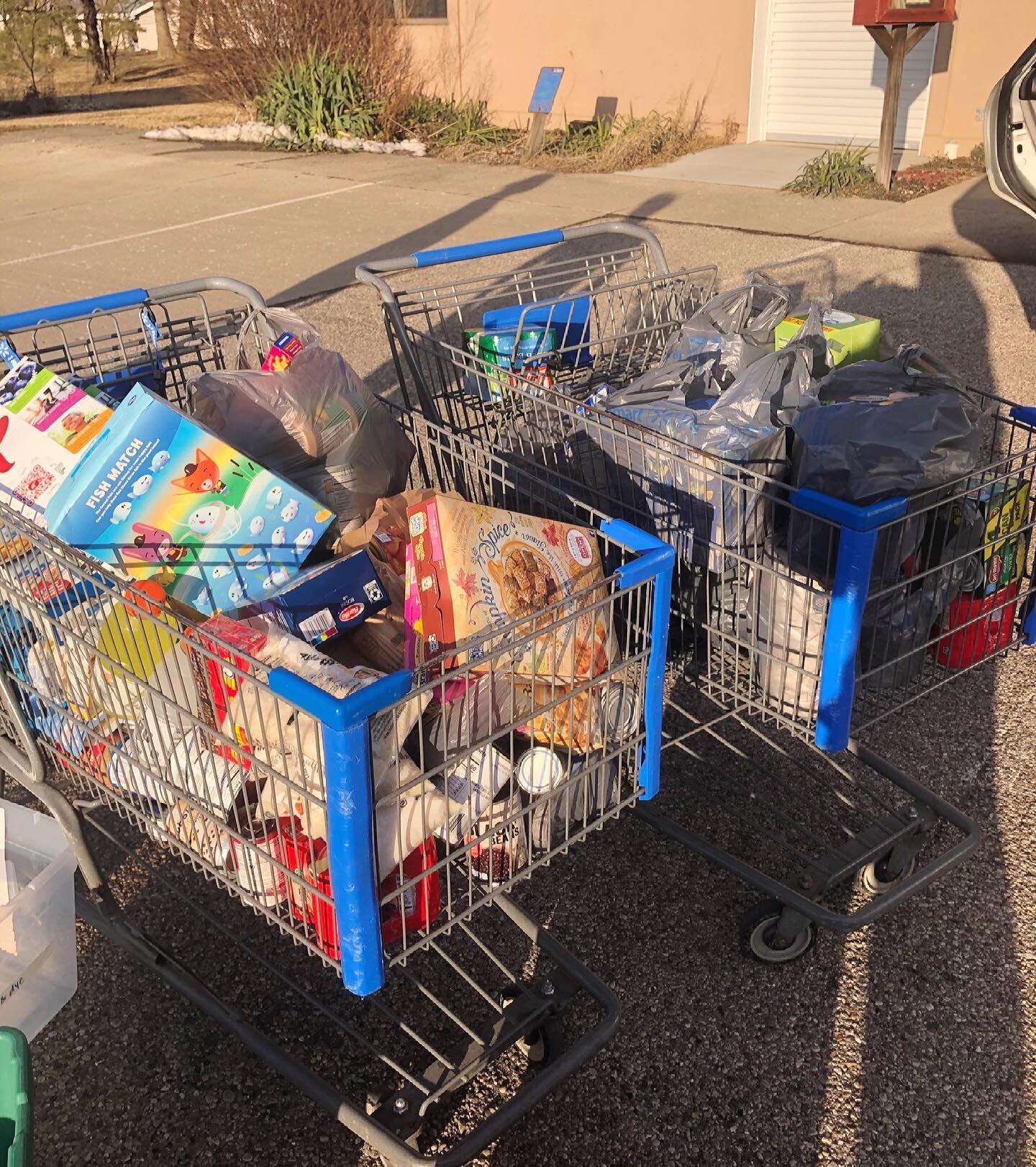 Thank you to everyone who donated during our Purim Food Drive last week! 242 items have been donated to TOPPS!

Image Descriptions: 
Slide 1: donated items filling up 2 shopping carts 
Slide 2: donated items on the floor sorted into piles