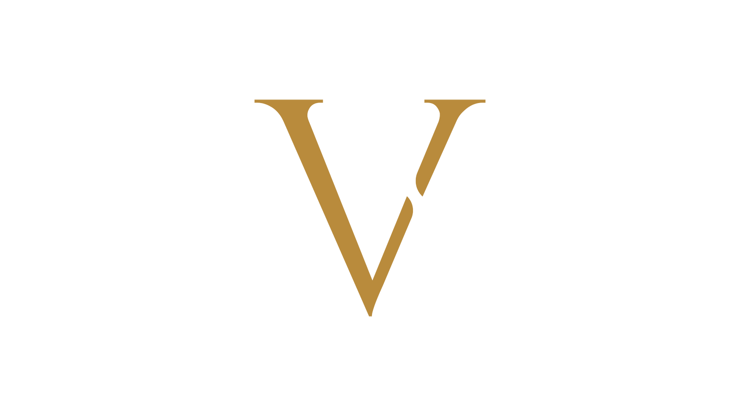 Vividry Solutions
