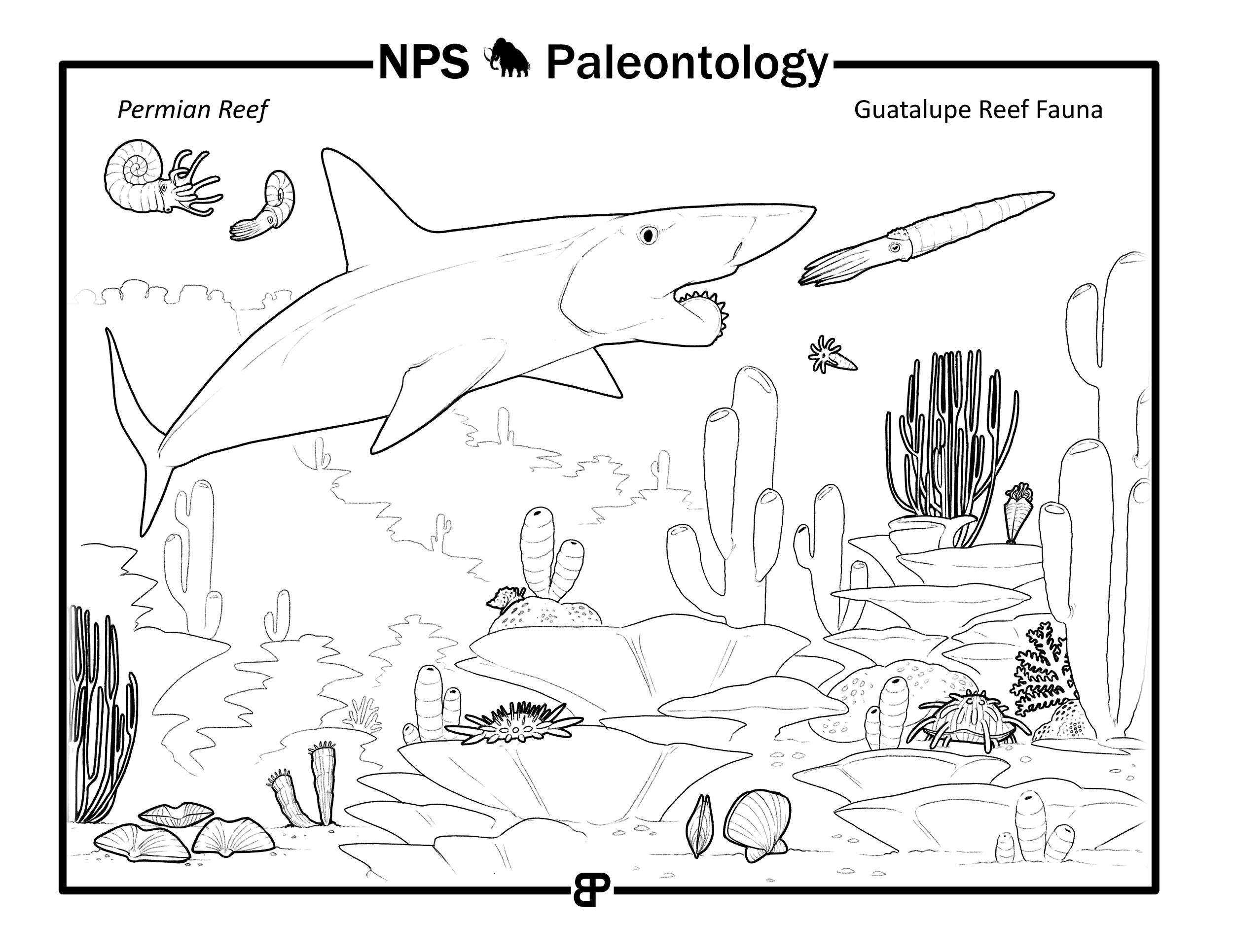 Permian Reef_all.png