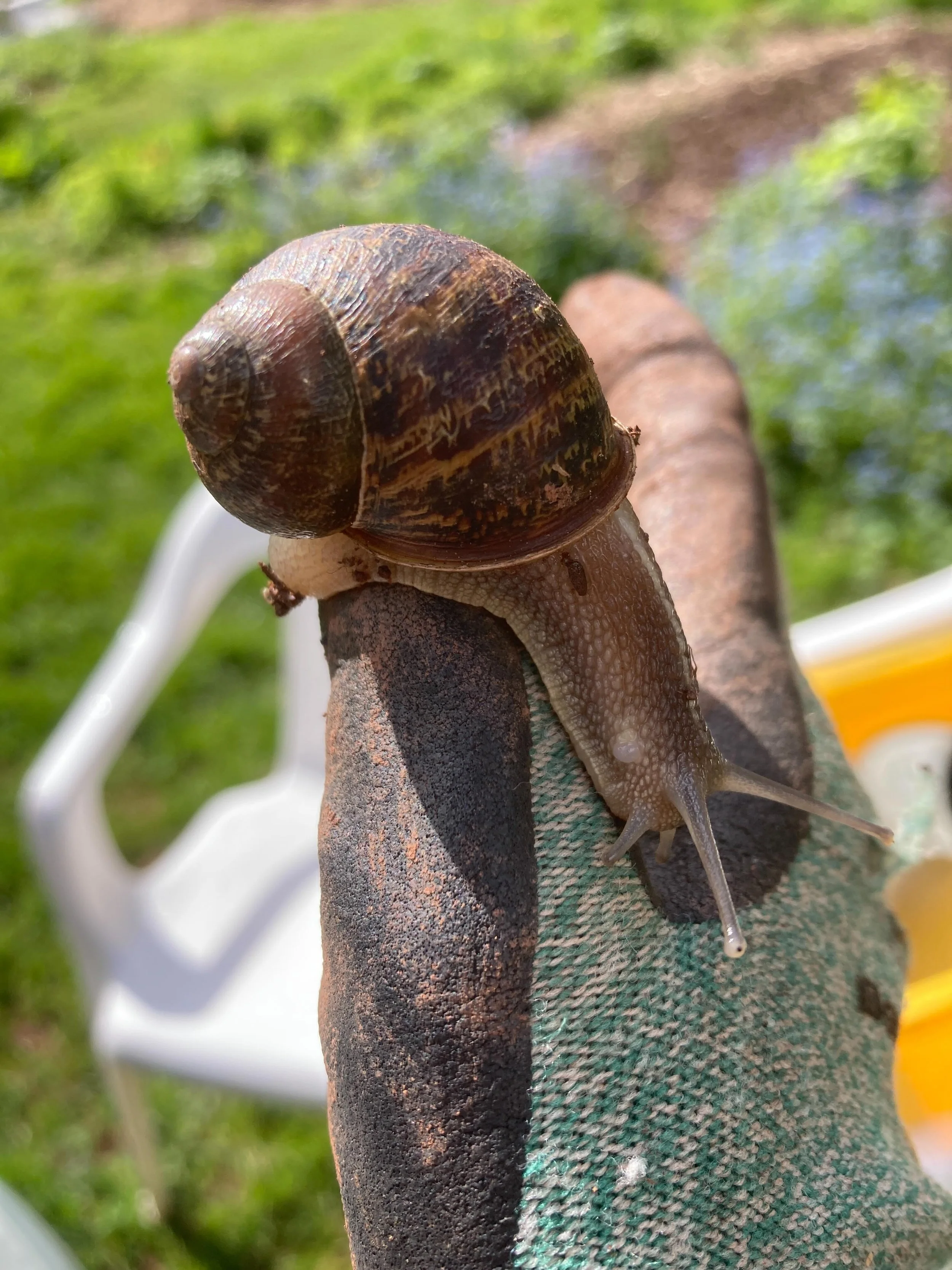 News flash:
I am not worthy 
You are not worthy 
None of us are
Do you think that little snail worries whether it is a good enough snail? 
Do you think those trees waste their energy feeling proud or ashamed?
They just are.
The human disease is think