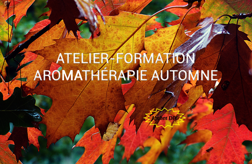 Aromathérapie - Bien préparer l'automne avec les huiles essentielles