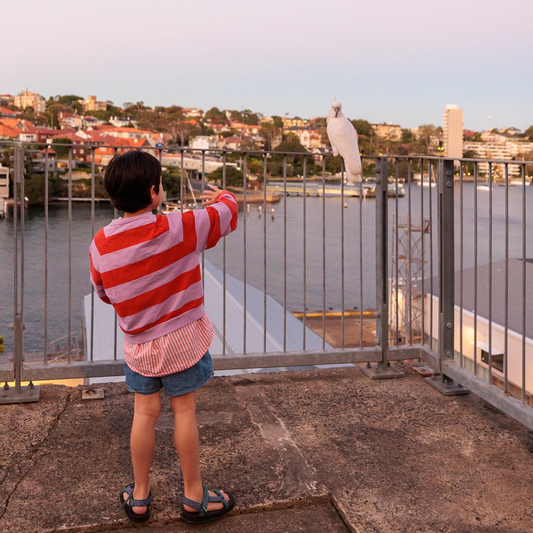 202604 Sydney holiday (8 of 8).jpg