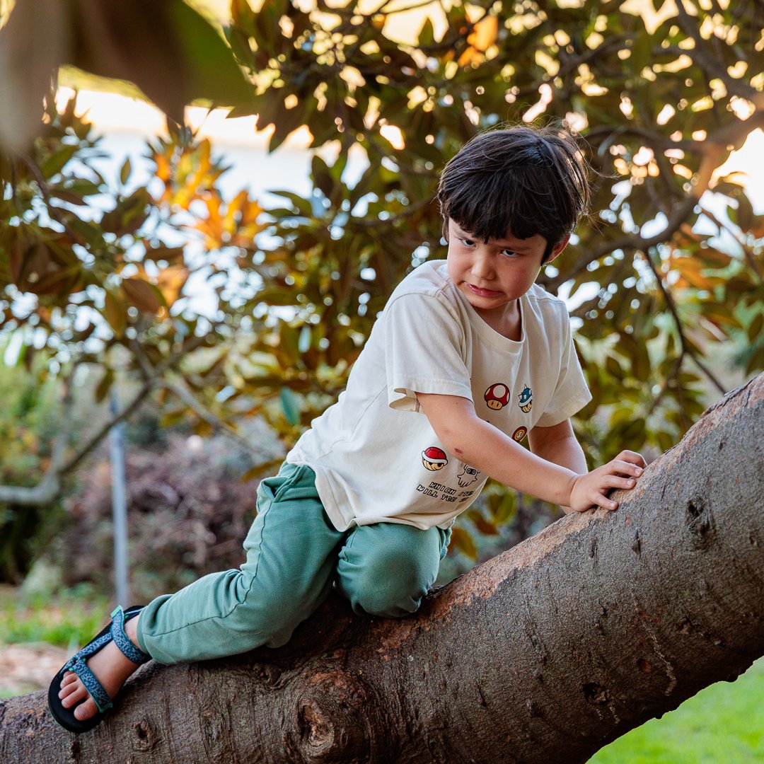 202604 Sydney holiday (5 of 8).jpg