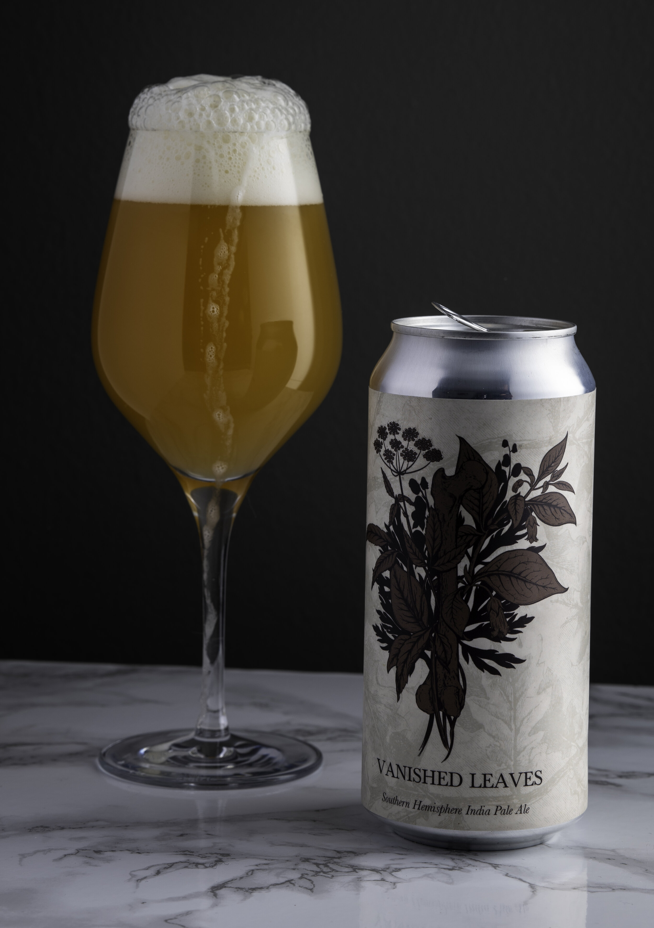 Sleeping Village - Vanished Leaves